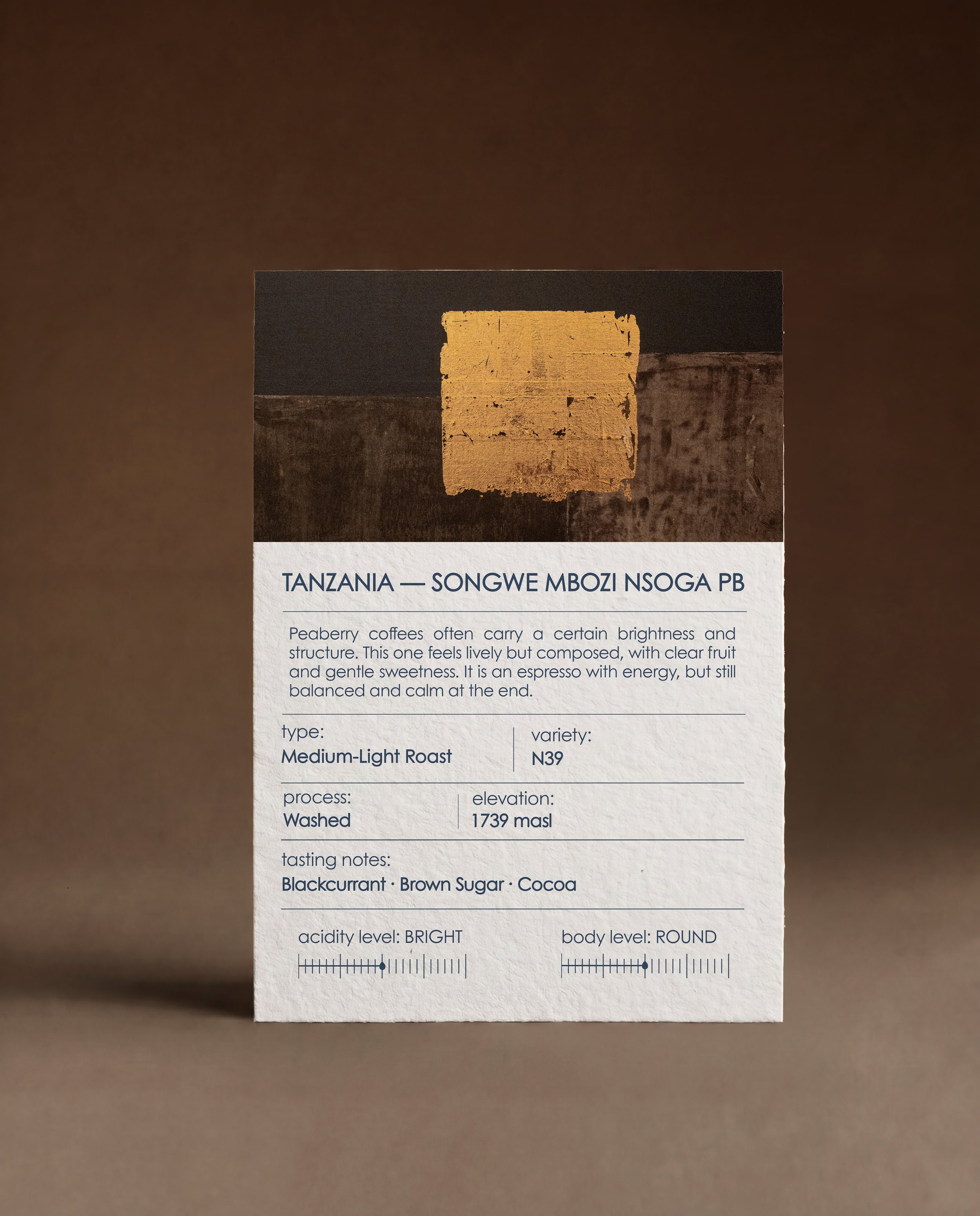 Tanzania Nsoga N39 PB Washed