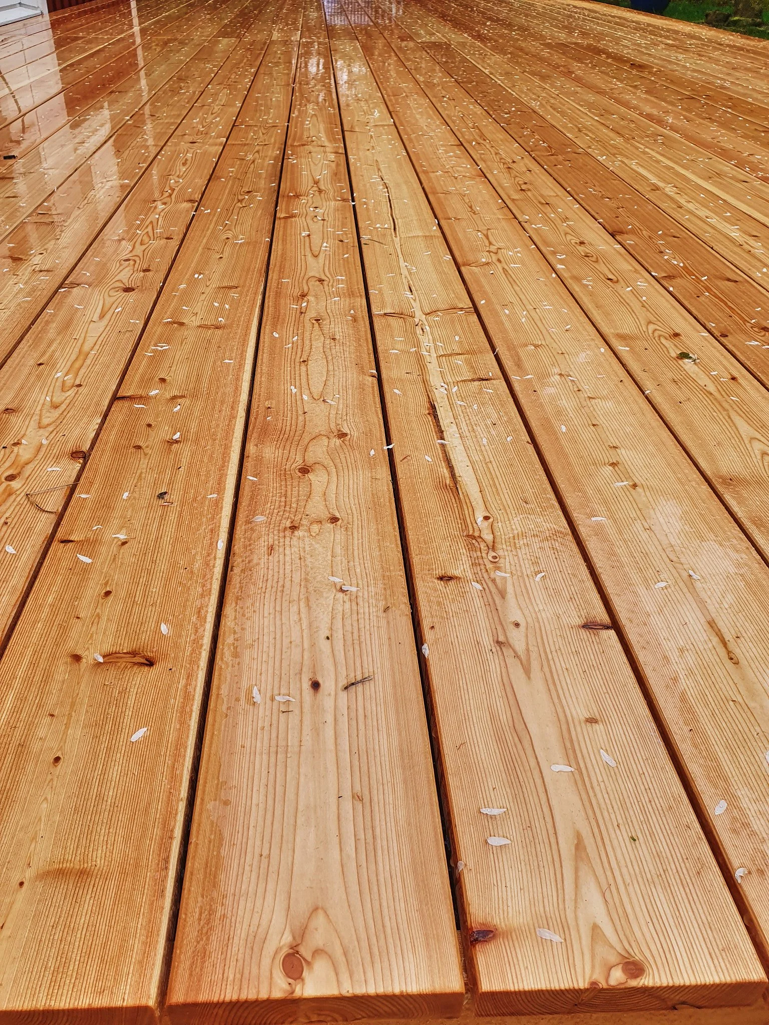 Traditionelles Zimmererhandwerk und moderner Holzbau