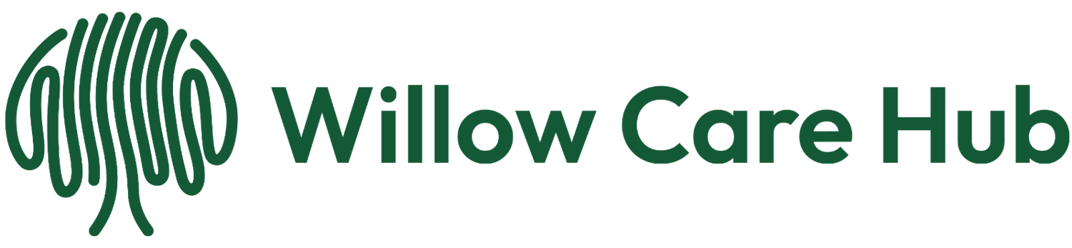 Willow Care Hub