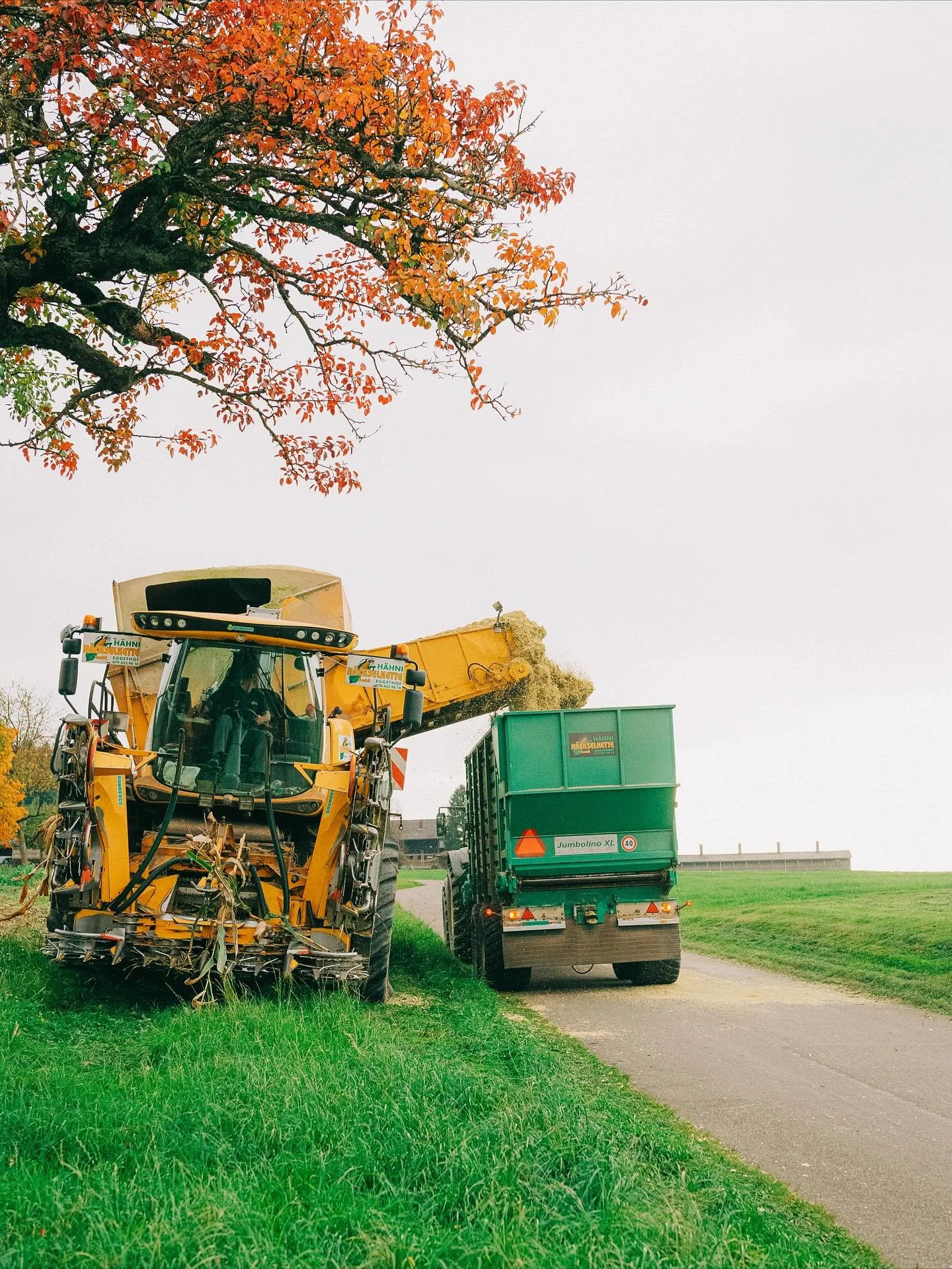 15.10.2025 🚜🌽

#maish&auml;ckseln #mais #h&auml;ckseln #nature #landwirtschaft #fotoshooting #fotoserafina