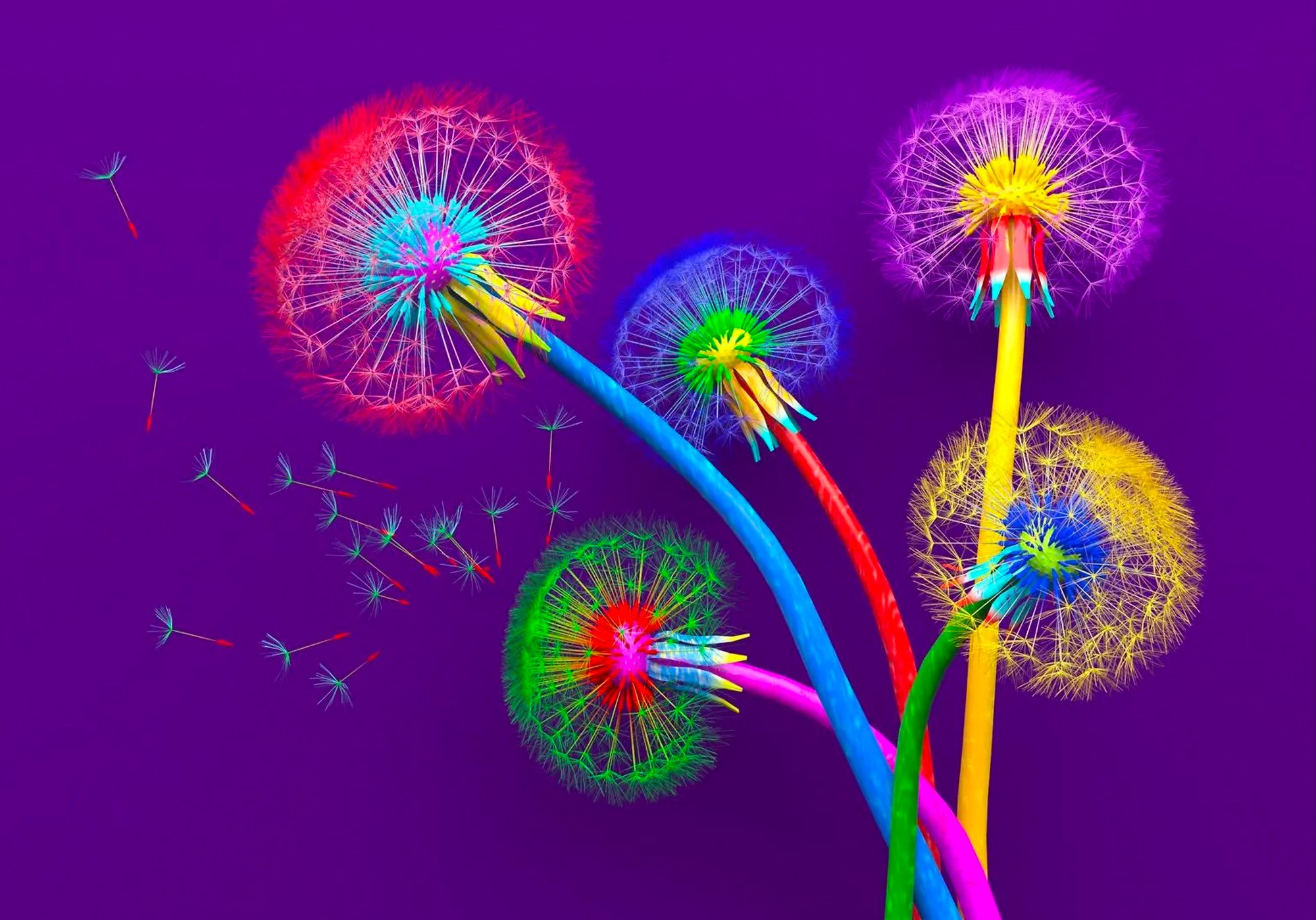 Colorful dandelion-inspired illustration representing creativity, innovation, and new ideas