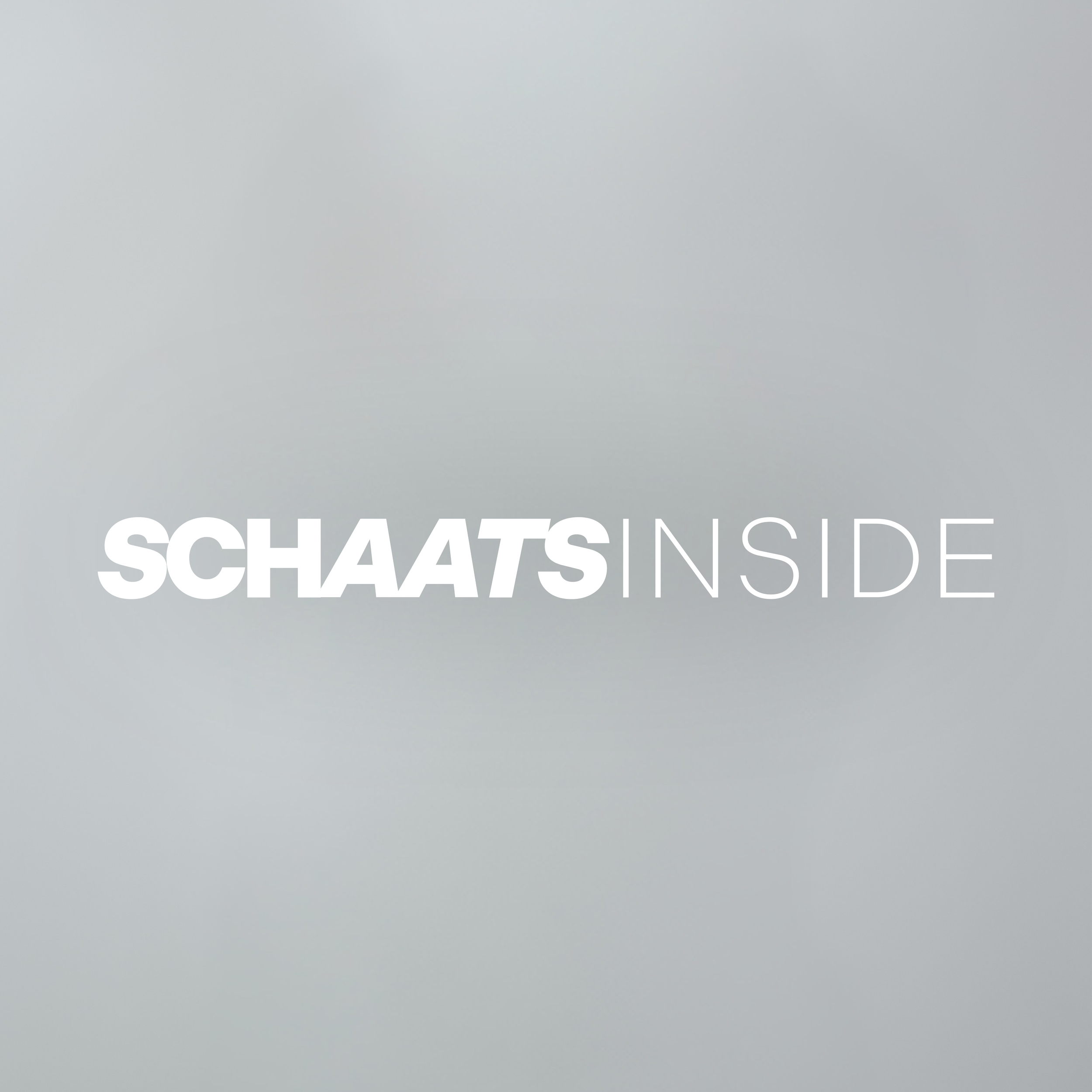 Witte tekst op een lichtgrijze achtergrond zegt 'SCHAATS INSIDE' in grote letters.
