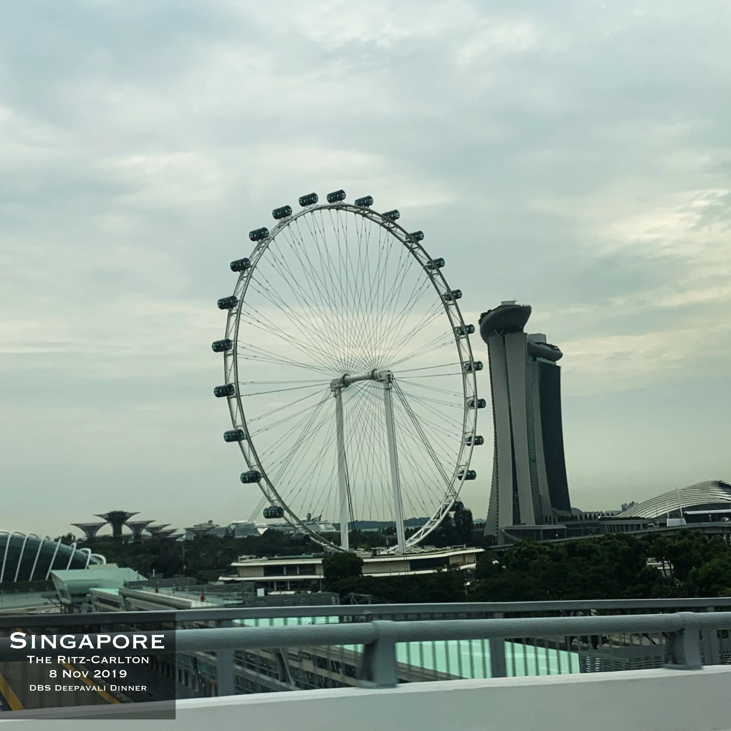 IMG_1565.jpeg