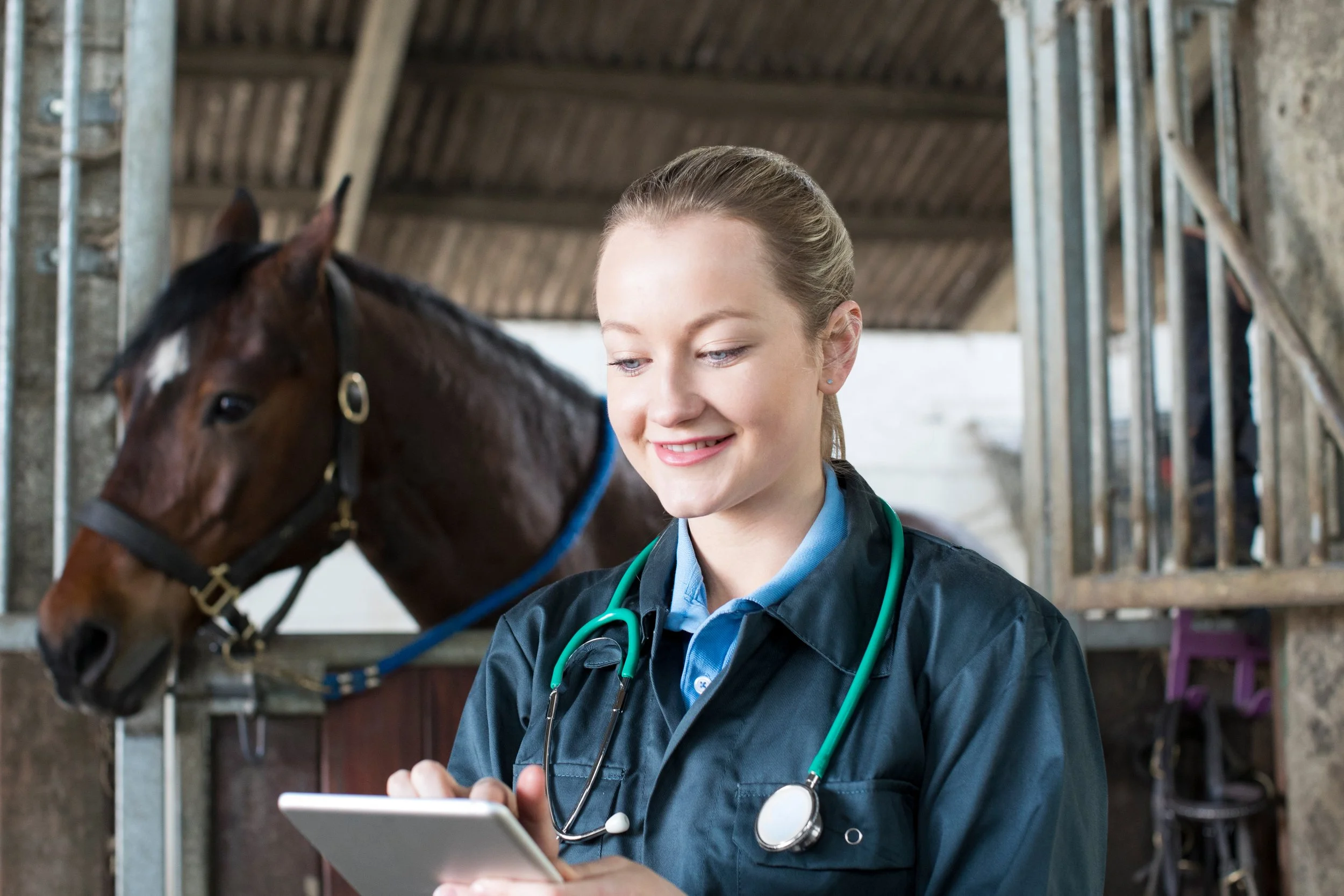 A young female veterinarian or veterinarian, holding a diagnostic, standing next to a horse in a barn or stable