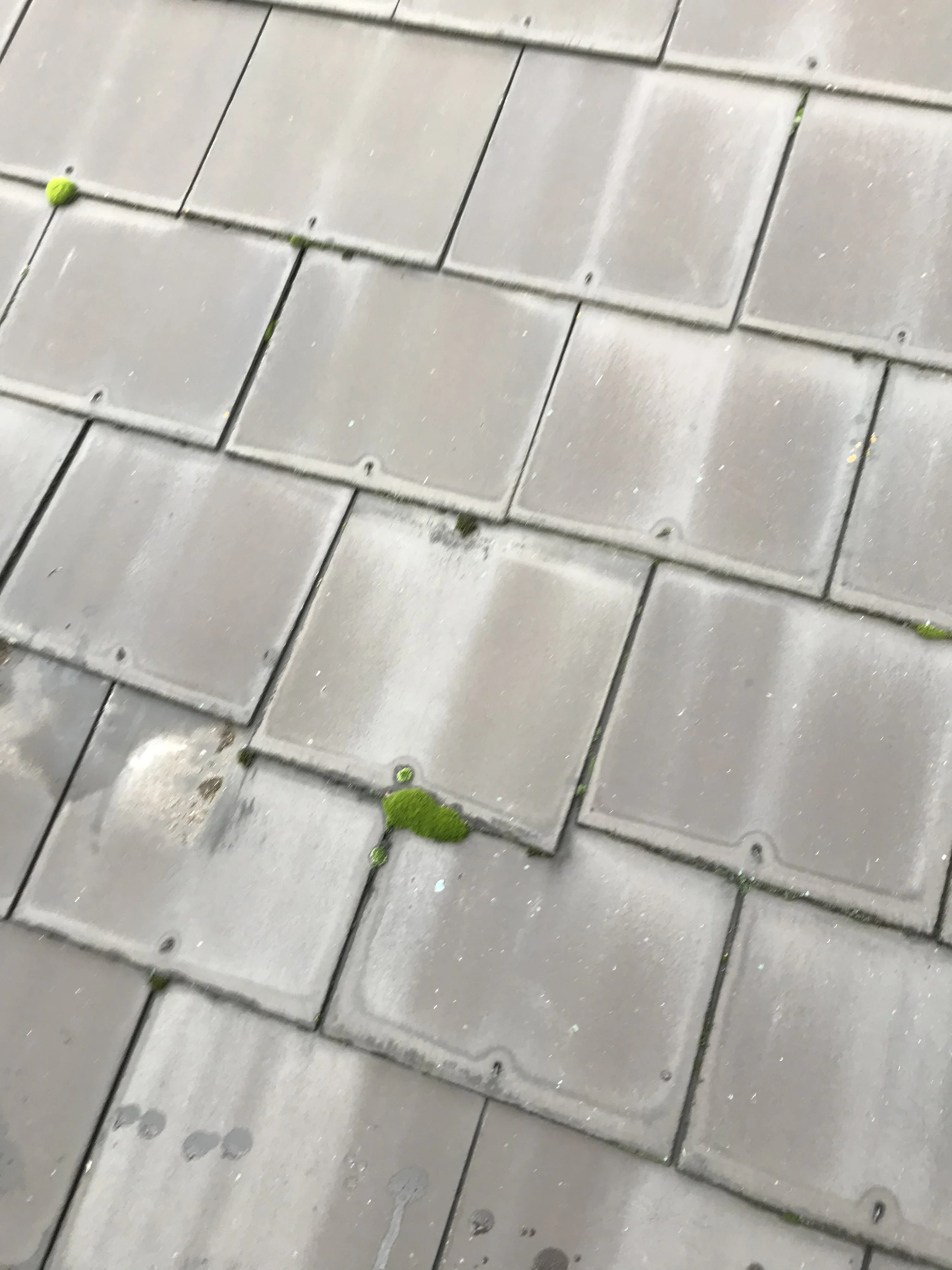Moss and algae growth on deteriorating roof tiles — signs your roof needs professional attention in Solihull or Birmingham
