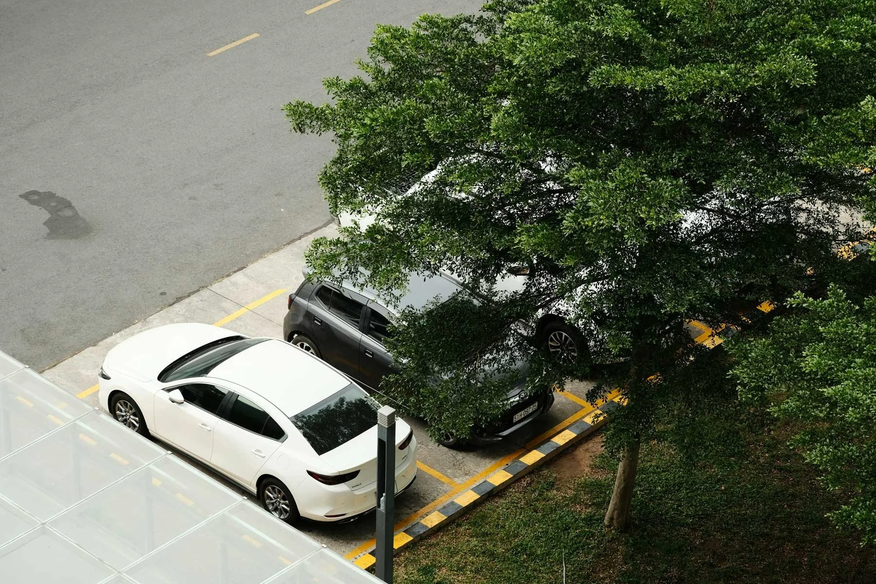 View from above of a parking lot with two parked cars, a tree with green leaves partially covering the cars, and a sidewalk near the bottom of the image.