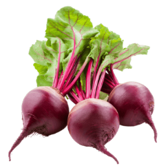 Three fresh beets with green leaves and pink stems