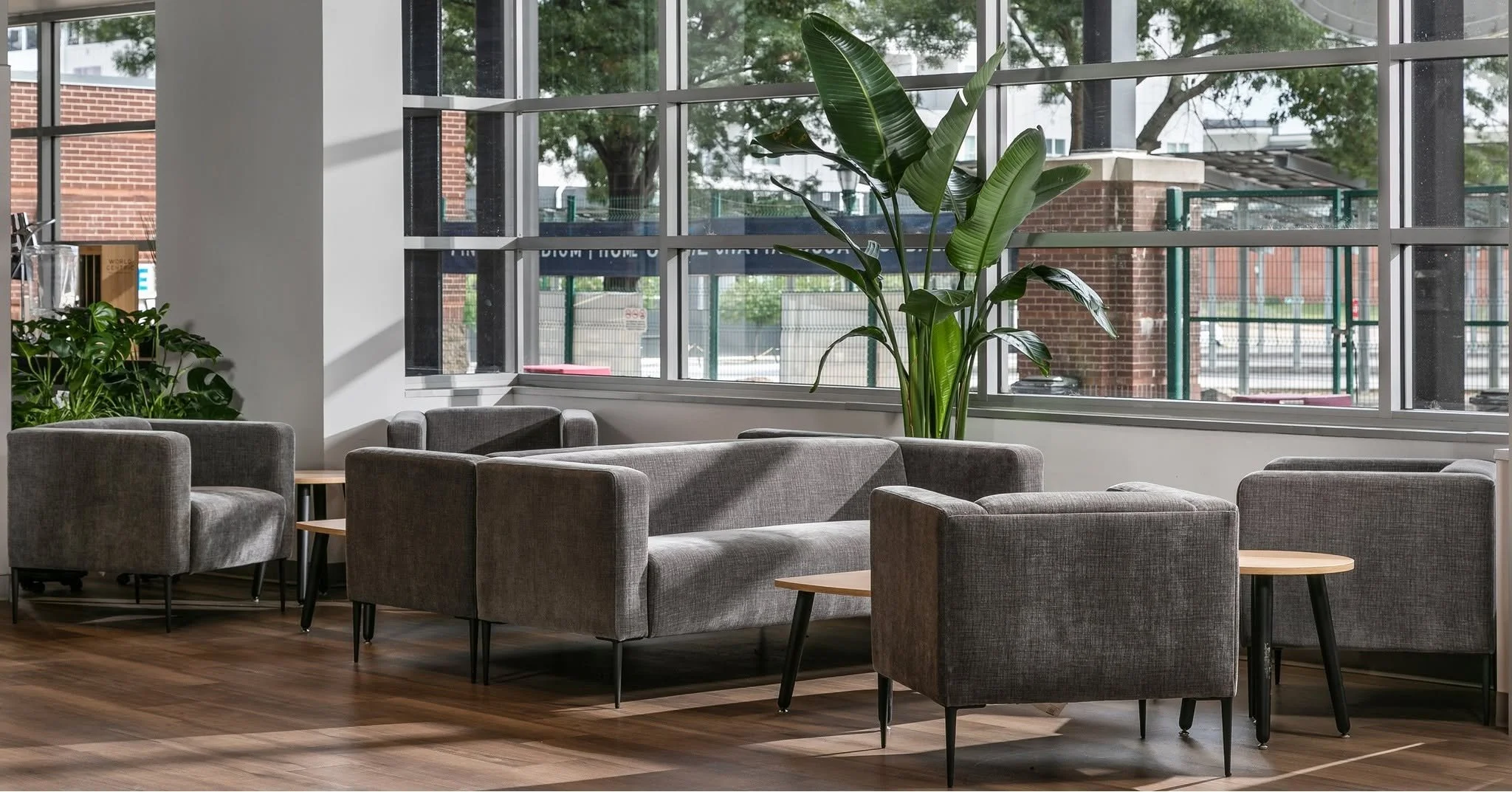 A modern interior space with large windows, grey sofas, and various green plants, including a large potted plant and smaller plants on a side table.