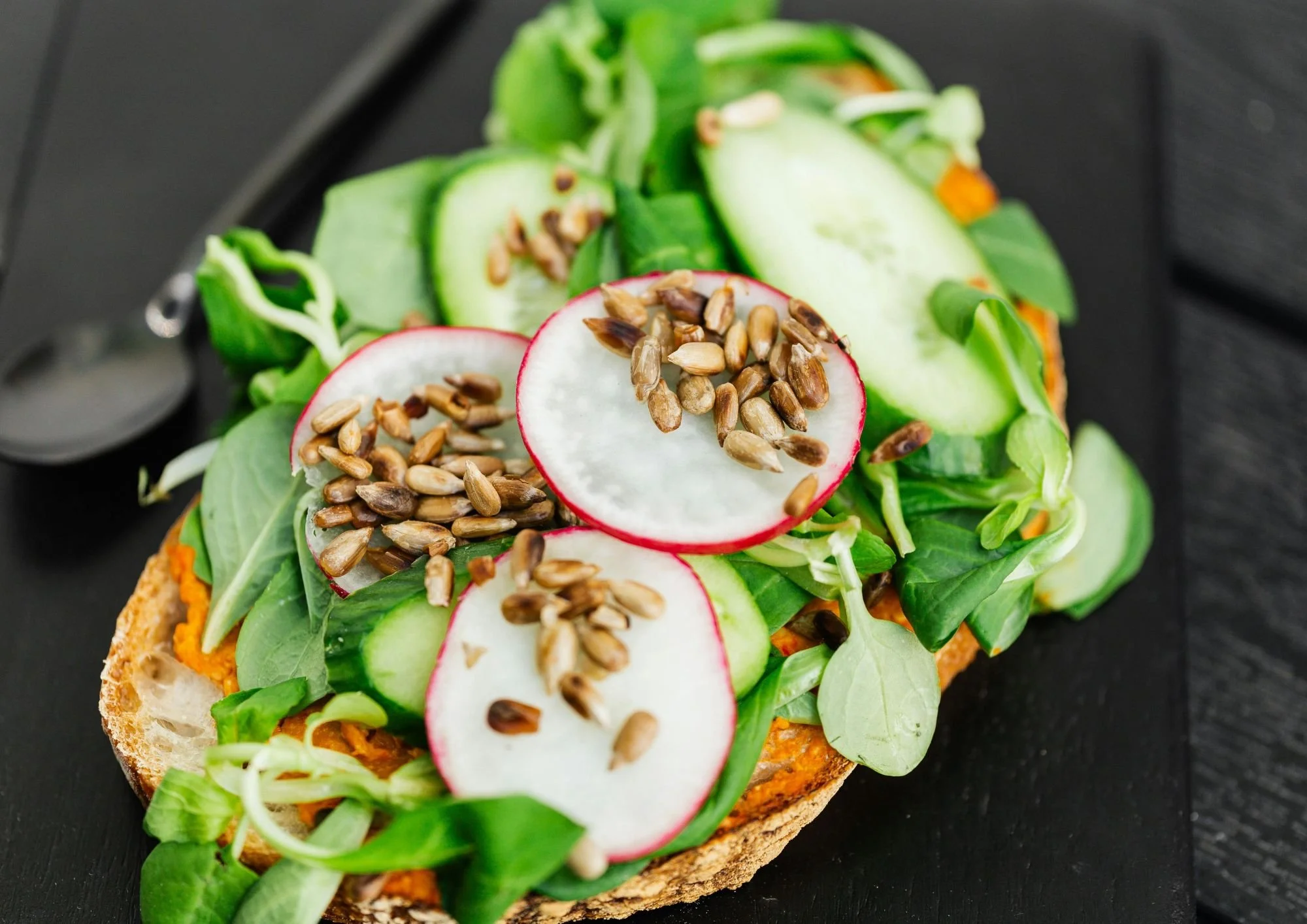 What Are Macros? A Beginner’s Guide to Tracking Macronutrients