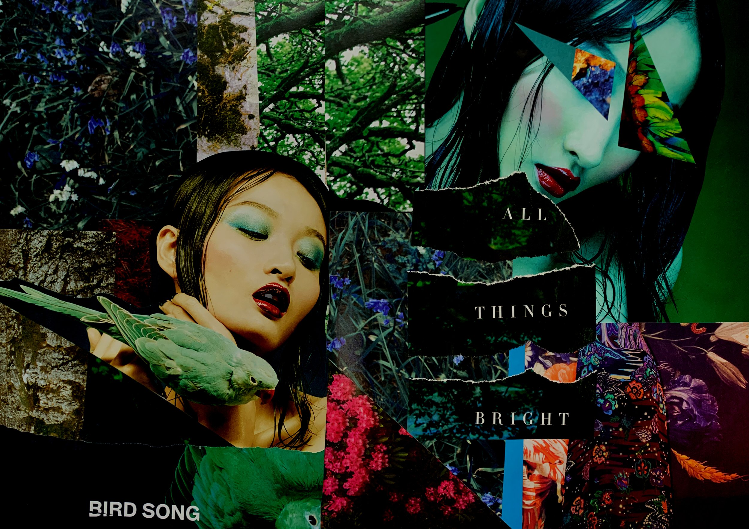 birdsong.jpg