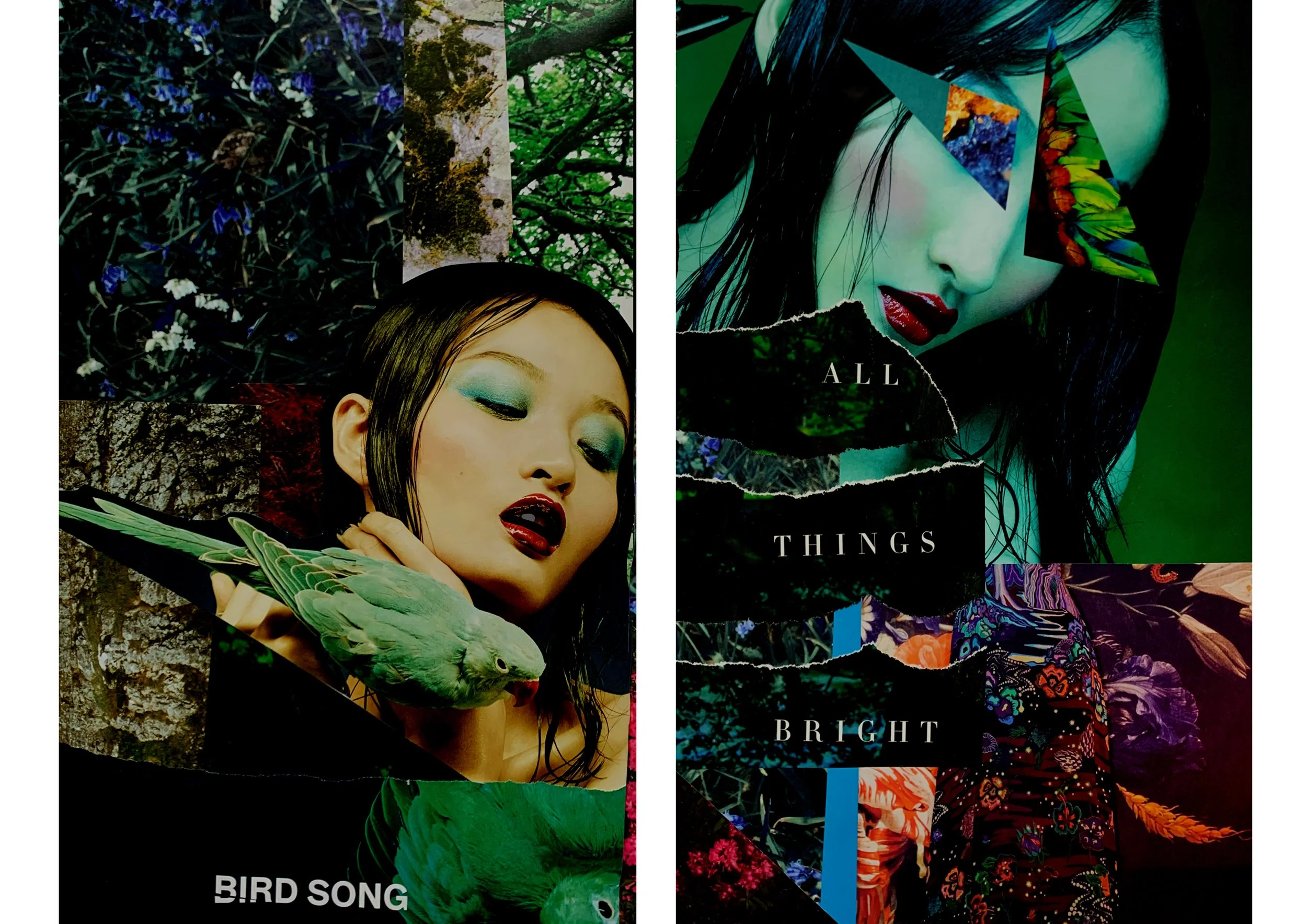 all things bright.jpg