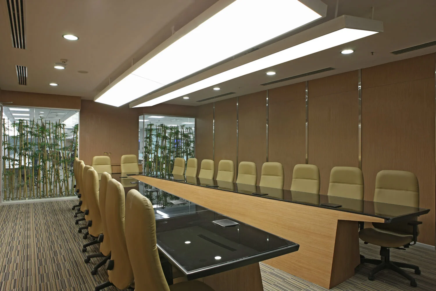 Chandra LED Lights (7).jpg