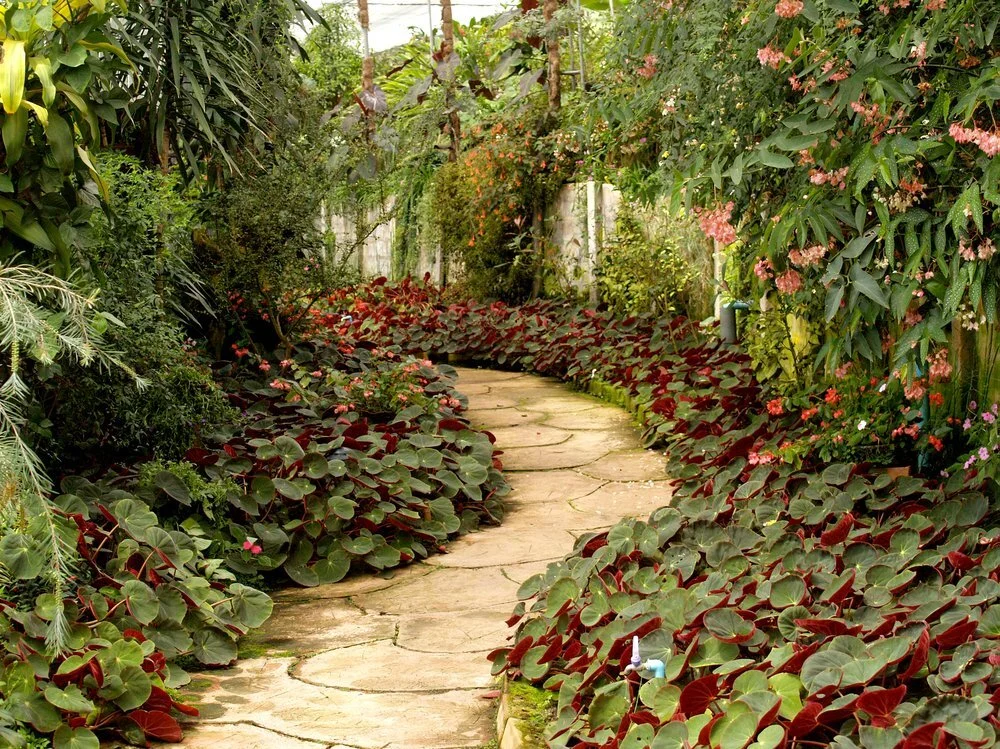 Chandra Landscaping (3).jpg