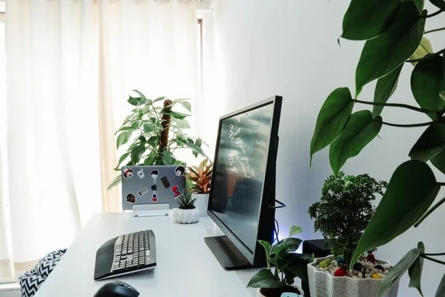 Chandra Interiors Desk.jpg