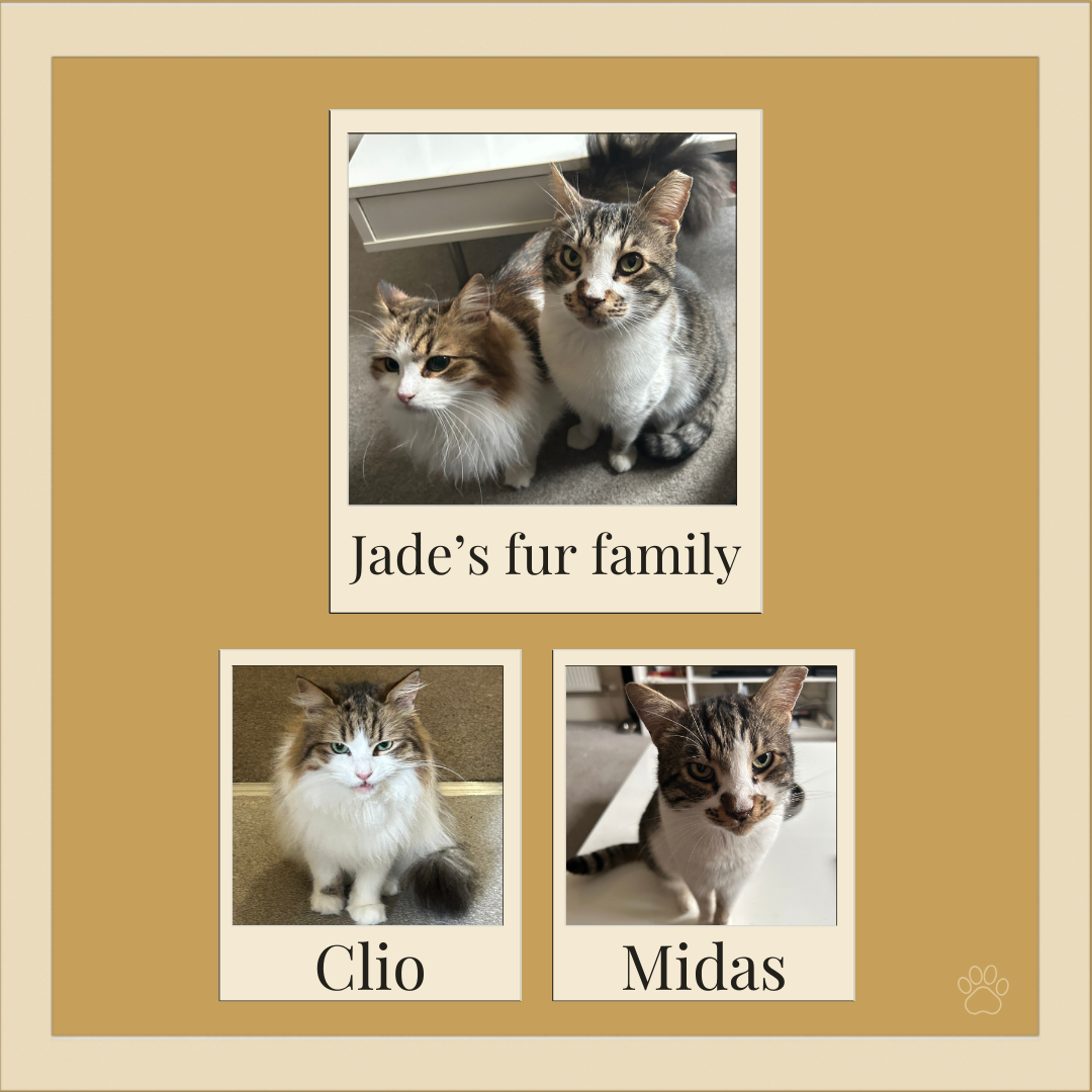 Client cat