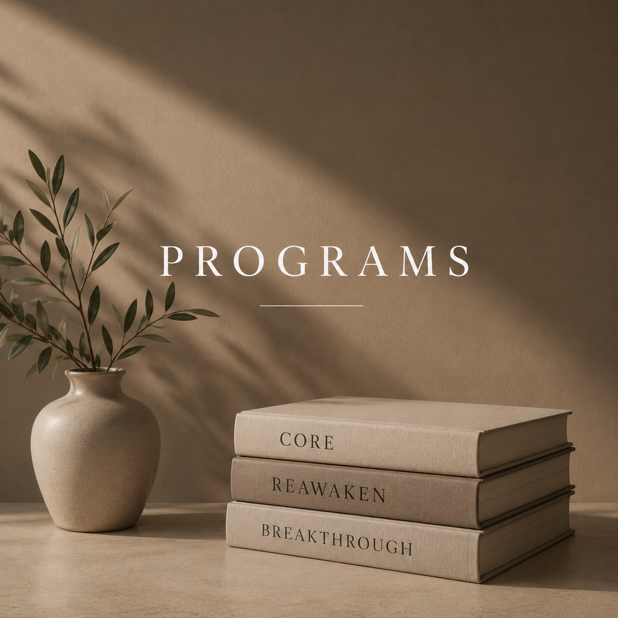 A beige vase with green leaves, three stacked books titled 'CORE,' 'REAWAKEN,' and 'BREAKTHROUGH,' and the word 'PROGRAMS' over a beige background with shadowed light.