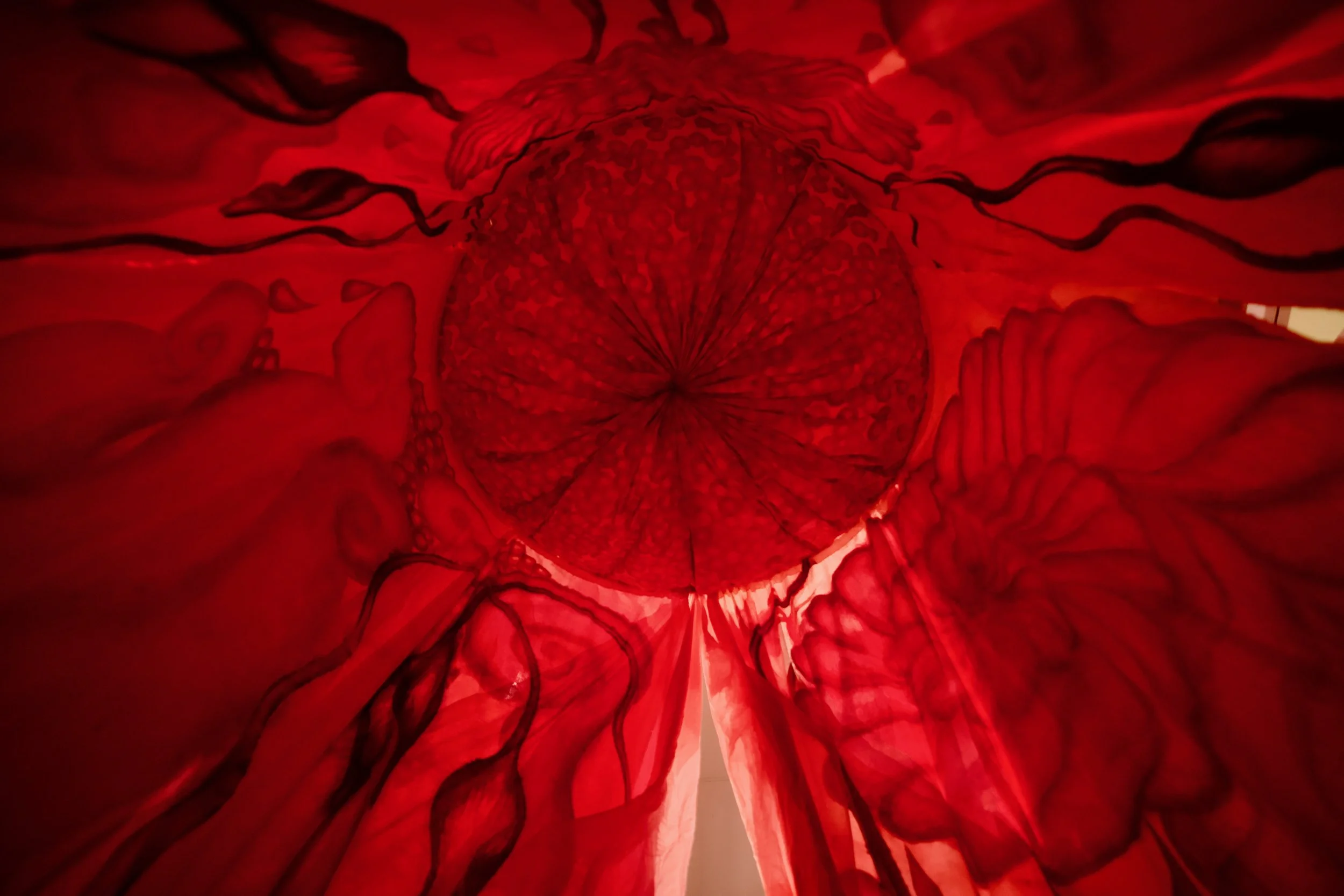 fot. Olek Leydo