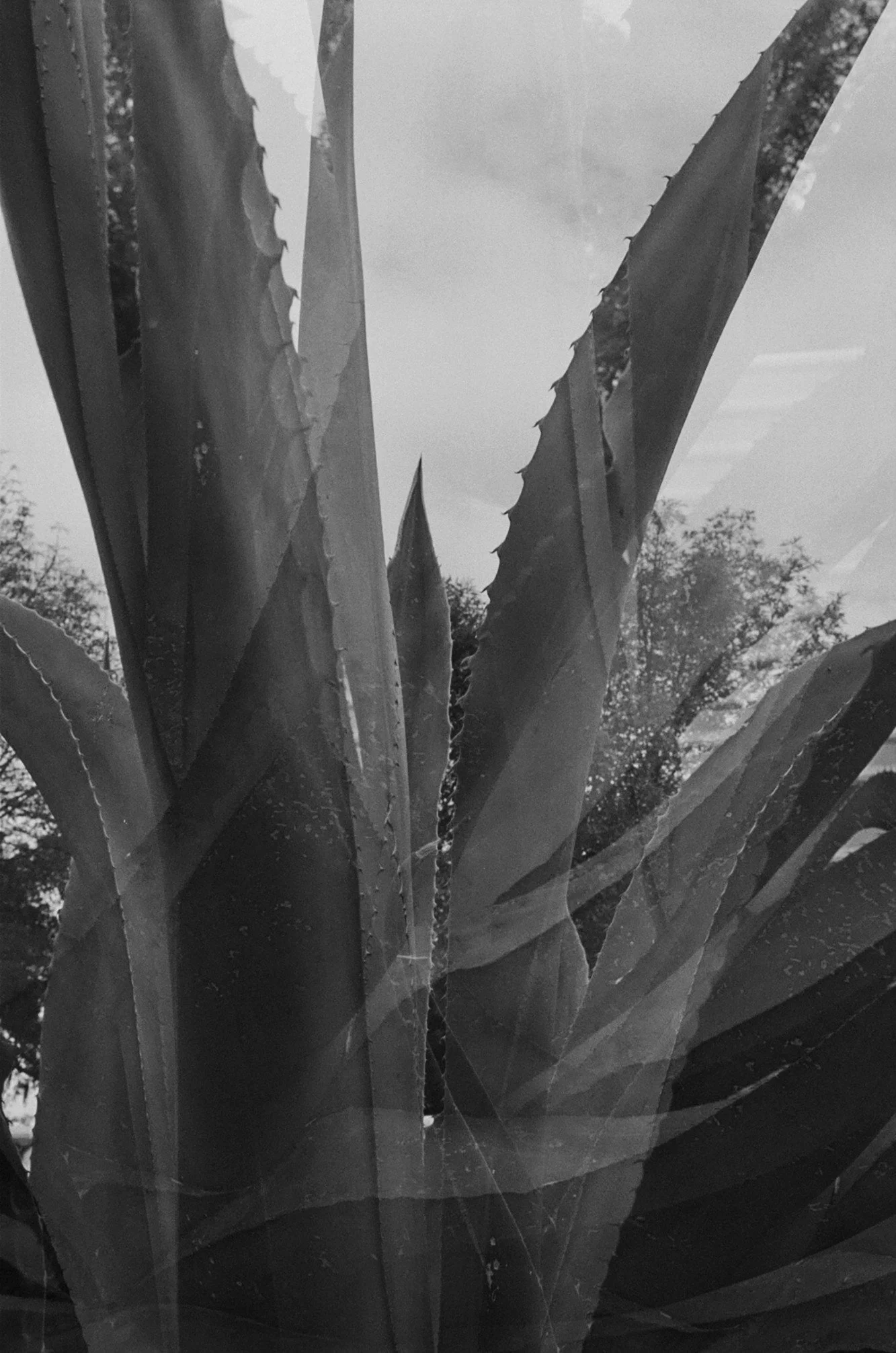 Foto-23.JPG