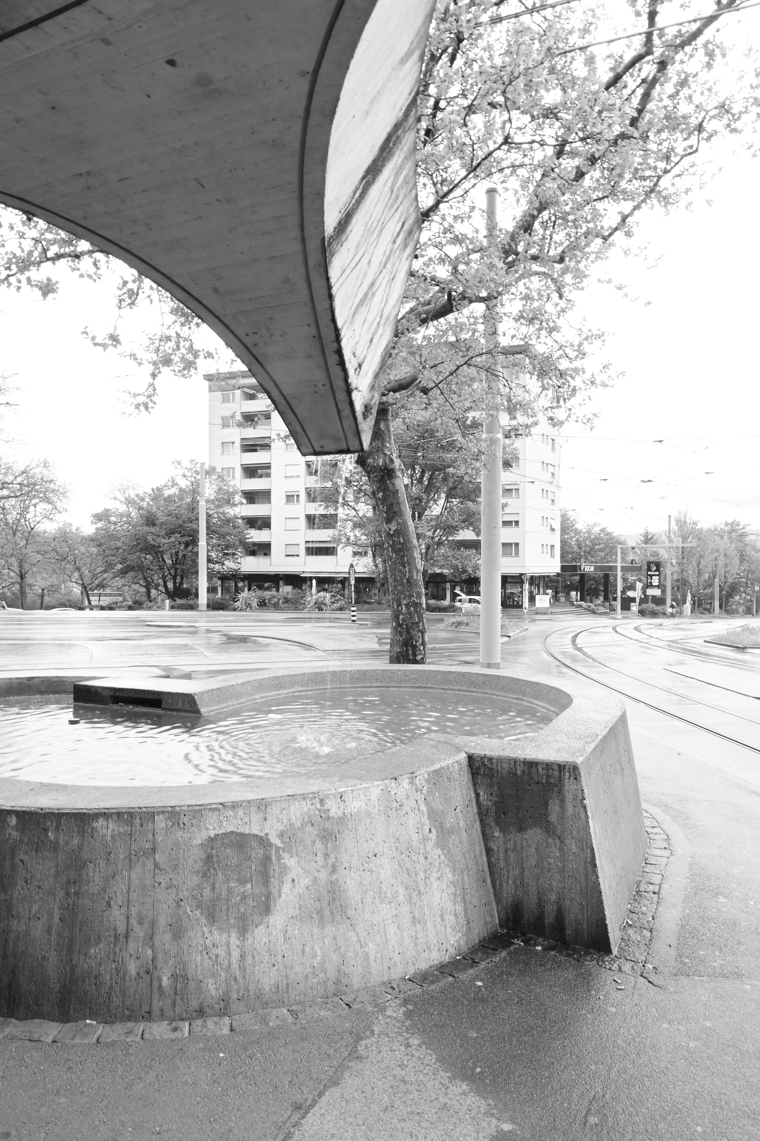 DSC_0599.JPG