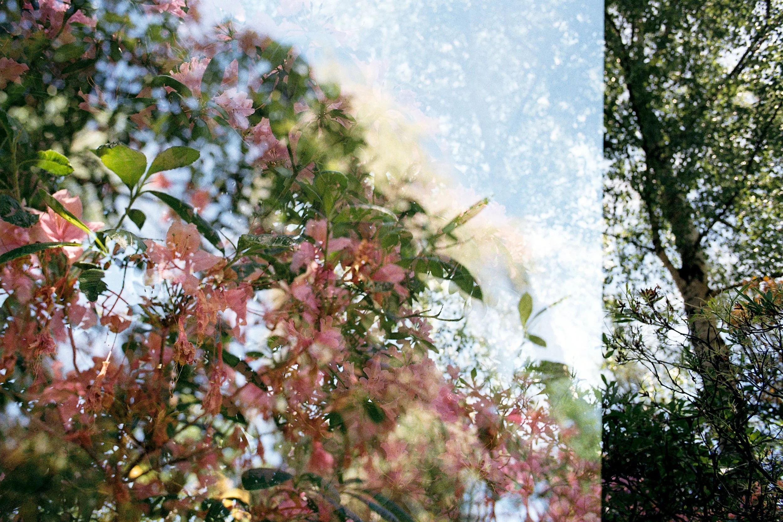 Negative0-31-2A(1).jpg