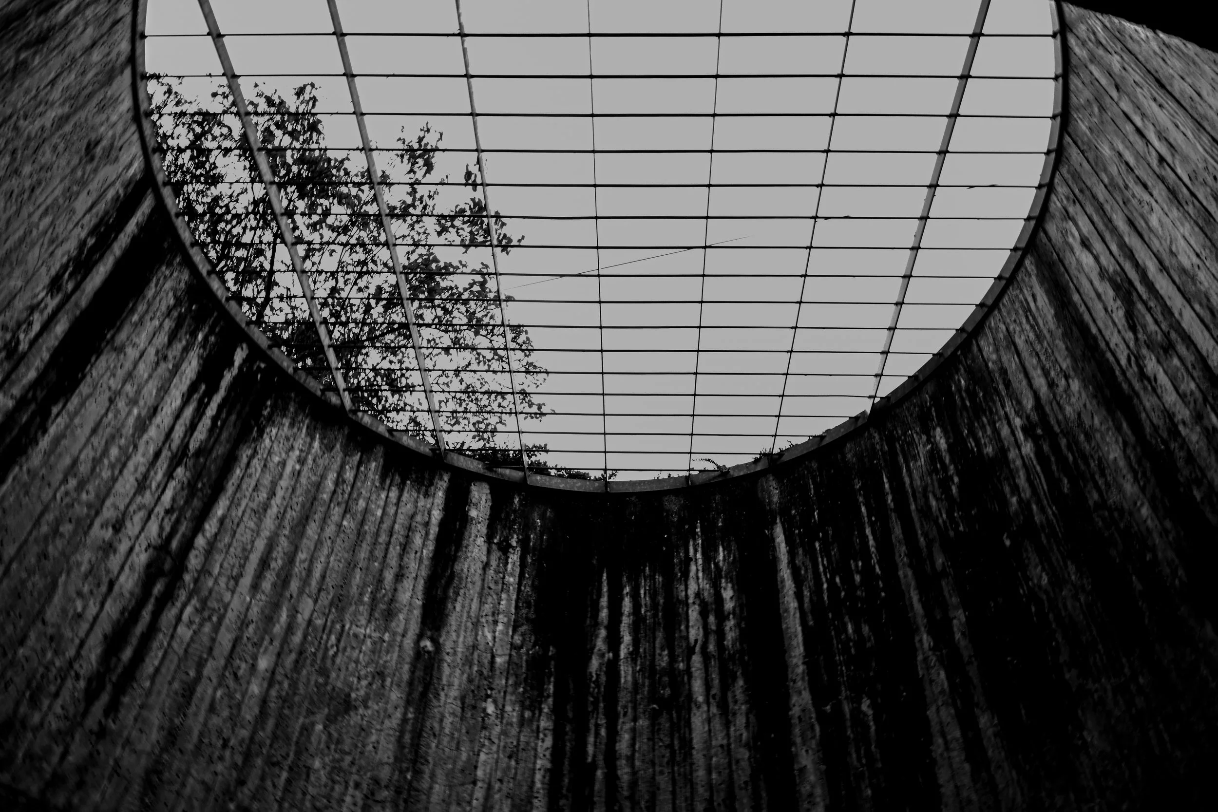 DSC_0589.jpg
