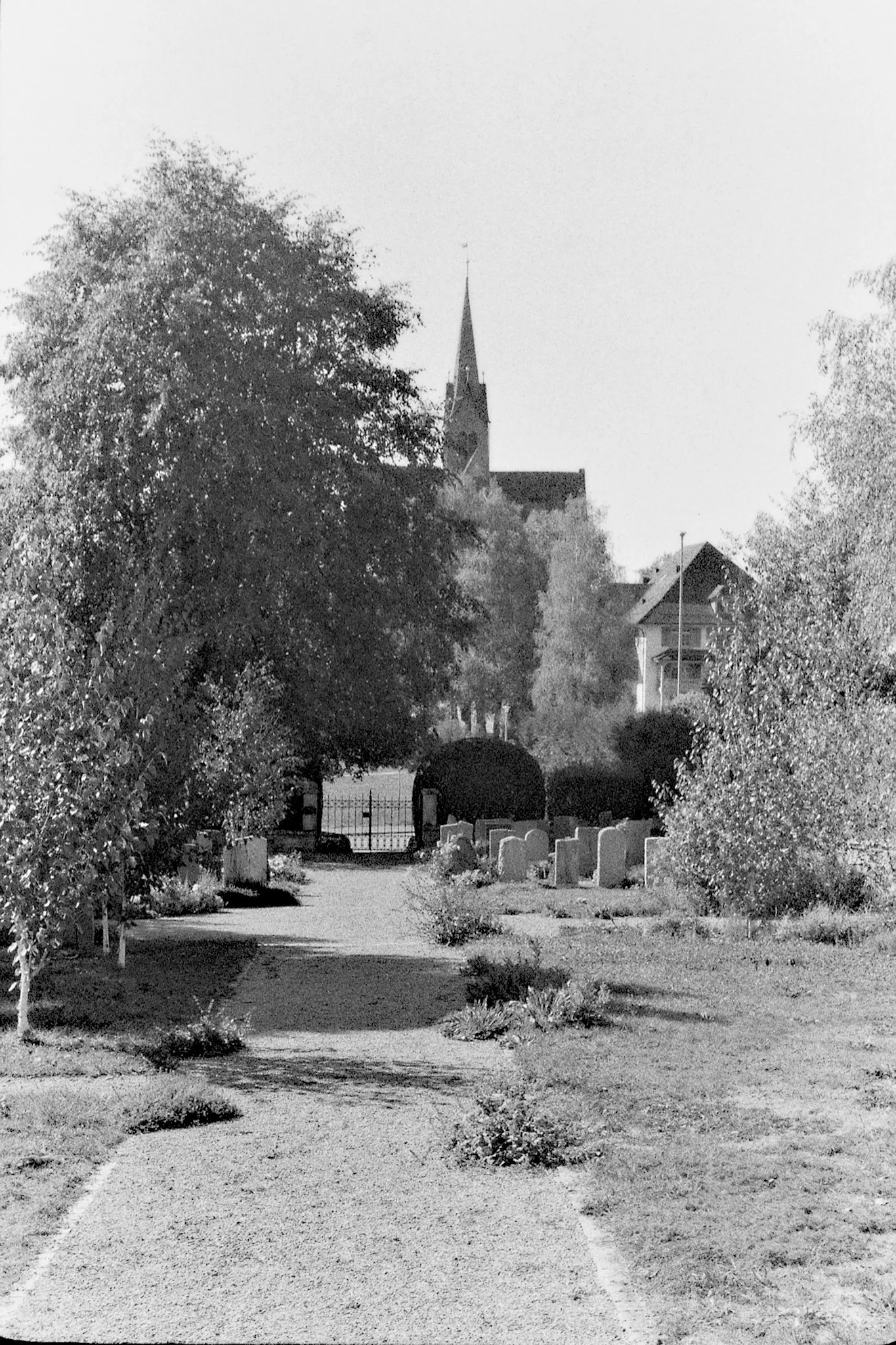 Negative0-21-21(1)kpl.jpg