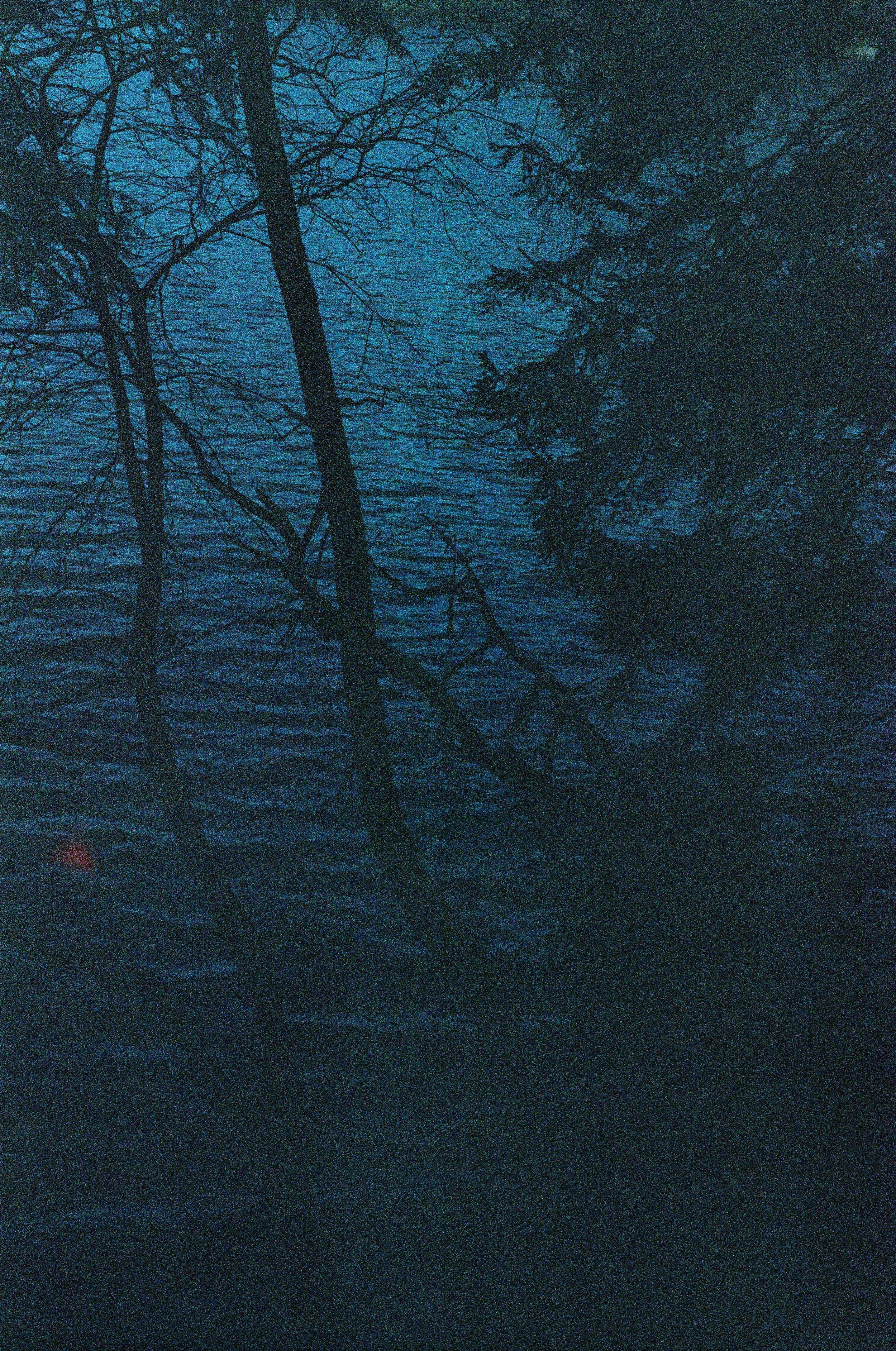 Türlersee, analog 2024
