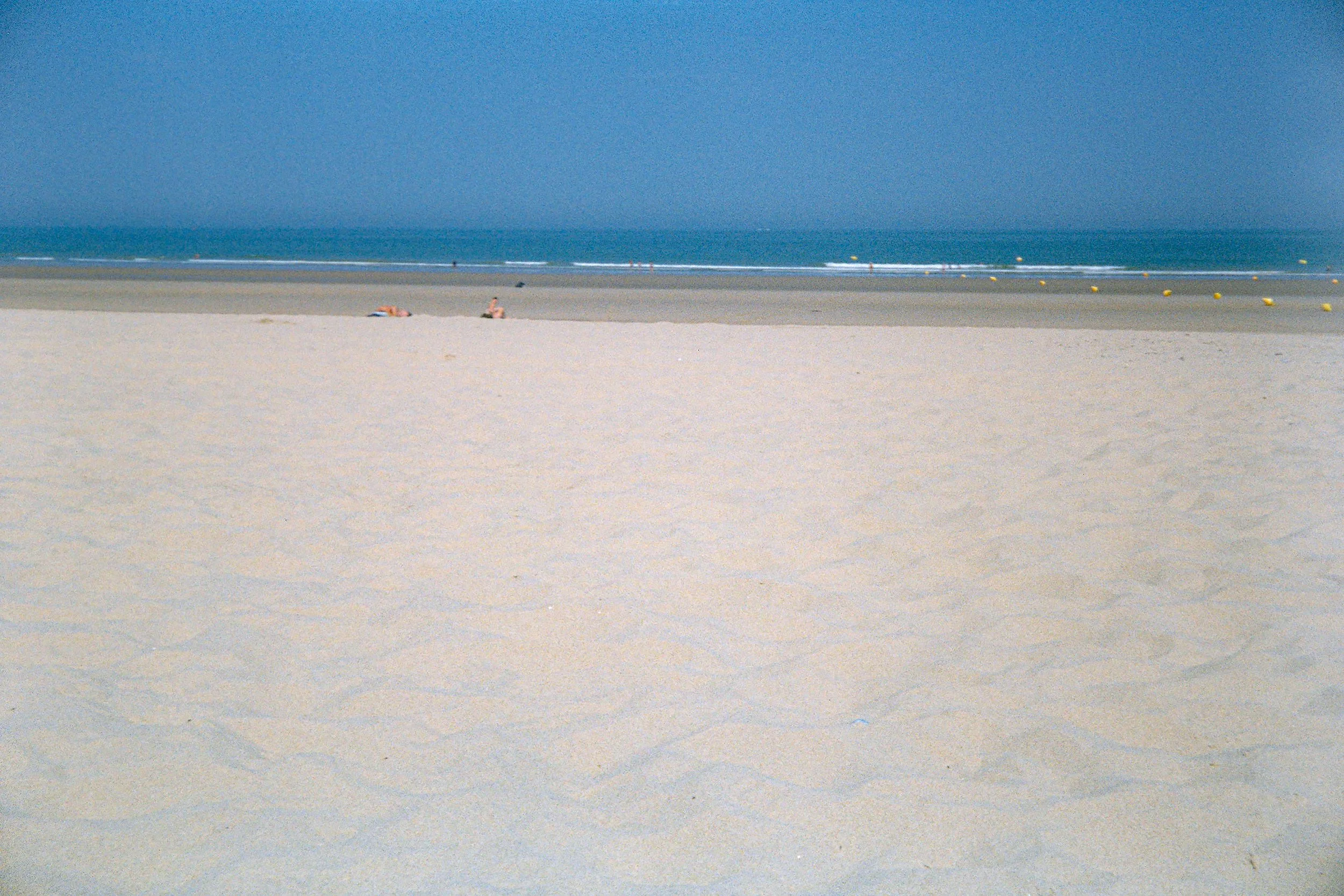 Negative0-02-2A(1).jpg