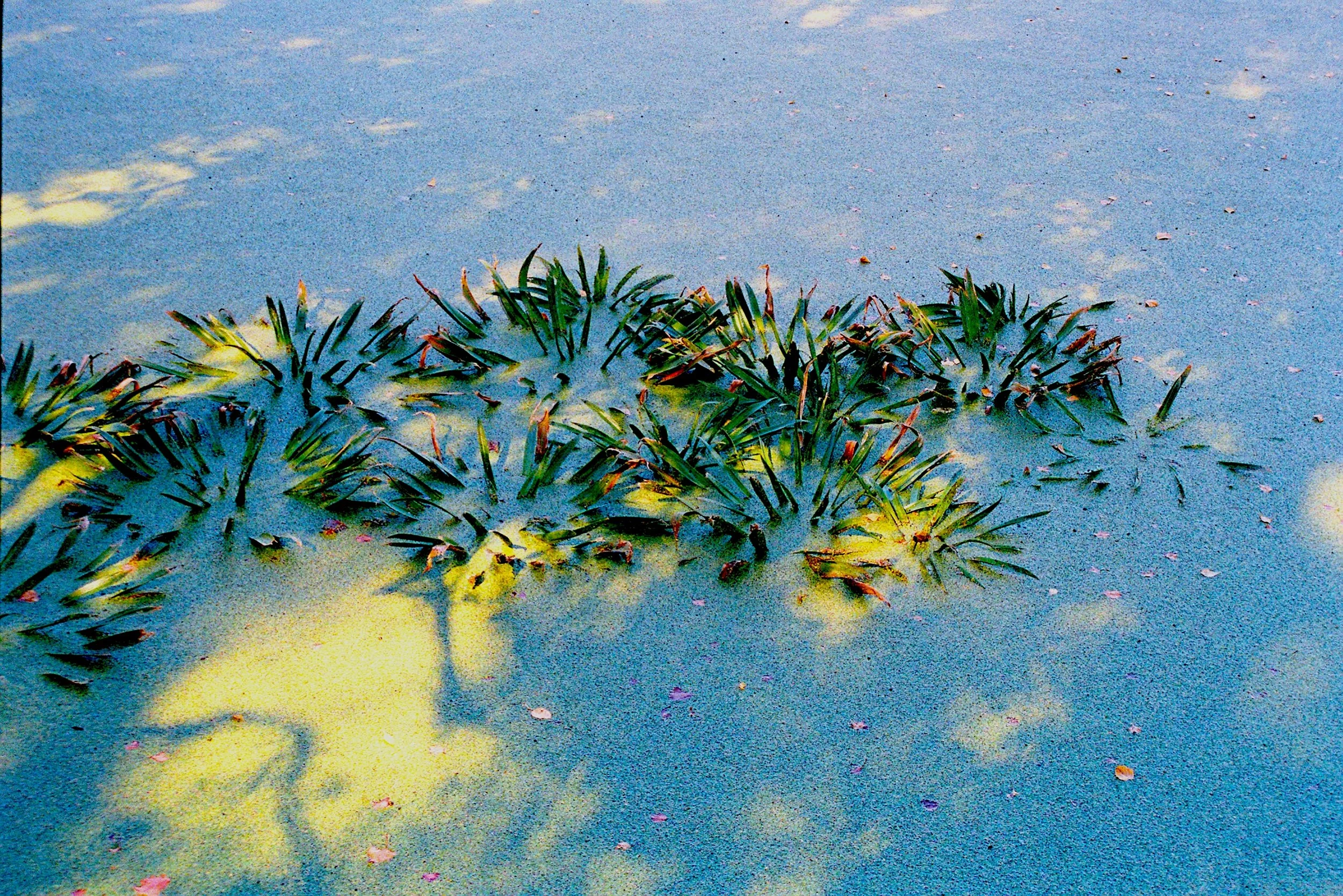Negative0-19-17(1).jpg