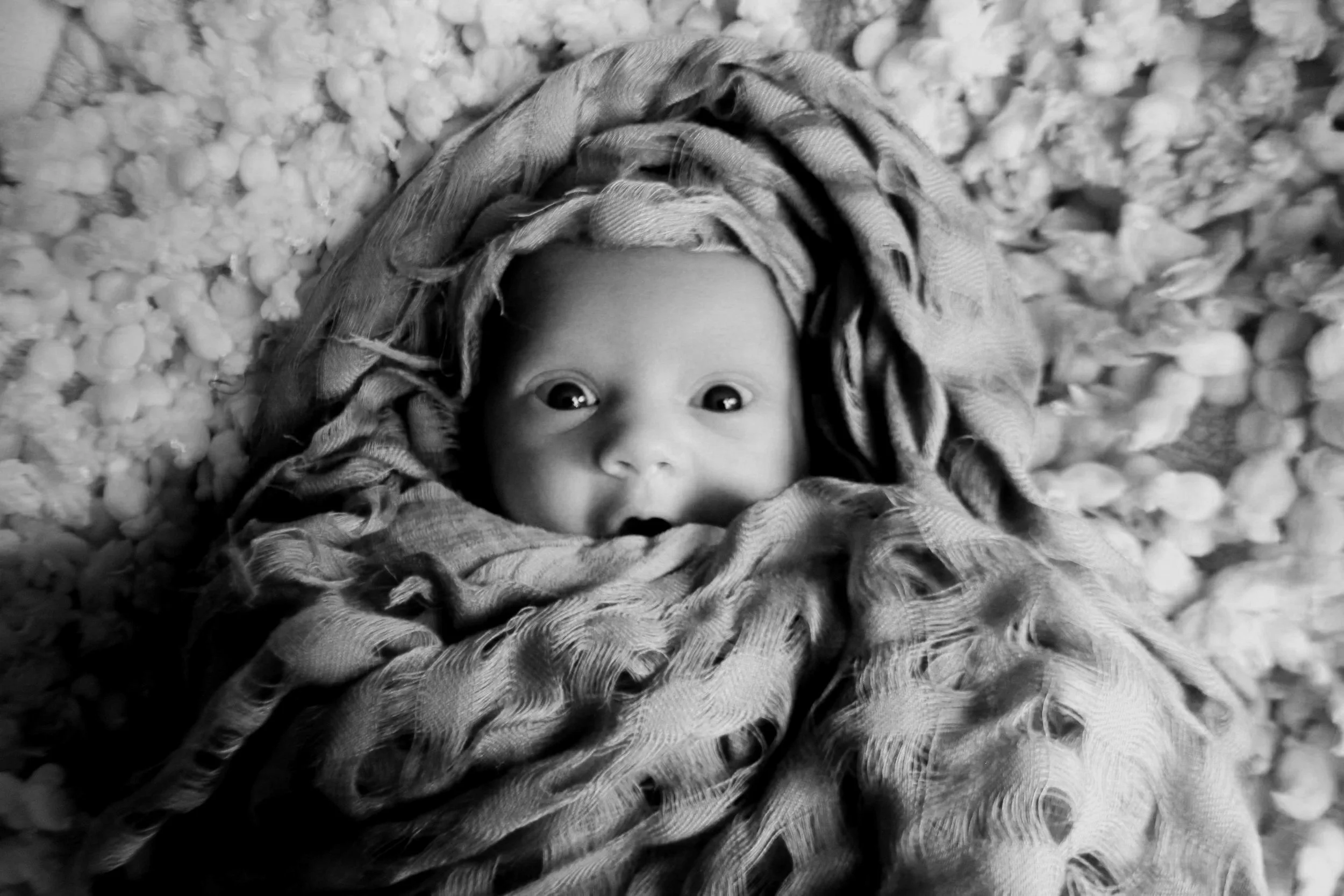 Black and white photo of a baby laying down on a soft, ruffled blanket, looking directly at the camera with wide eyes, wrapped in a blanket.