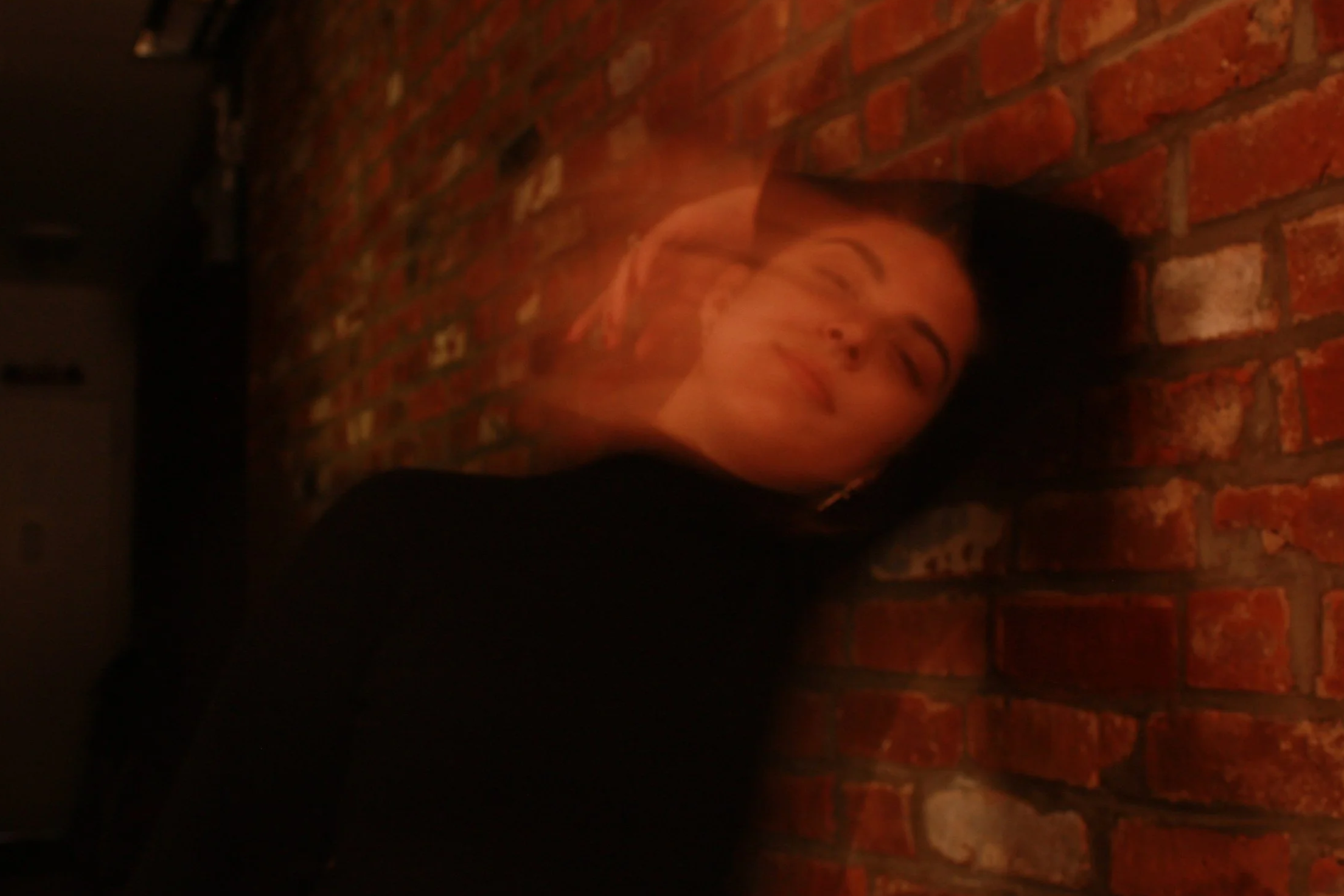 An artistic self-portrait of a woman with dark hair smiling while leaning against a red brick wall.
