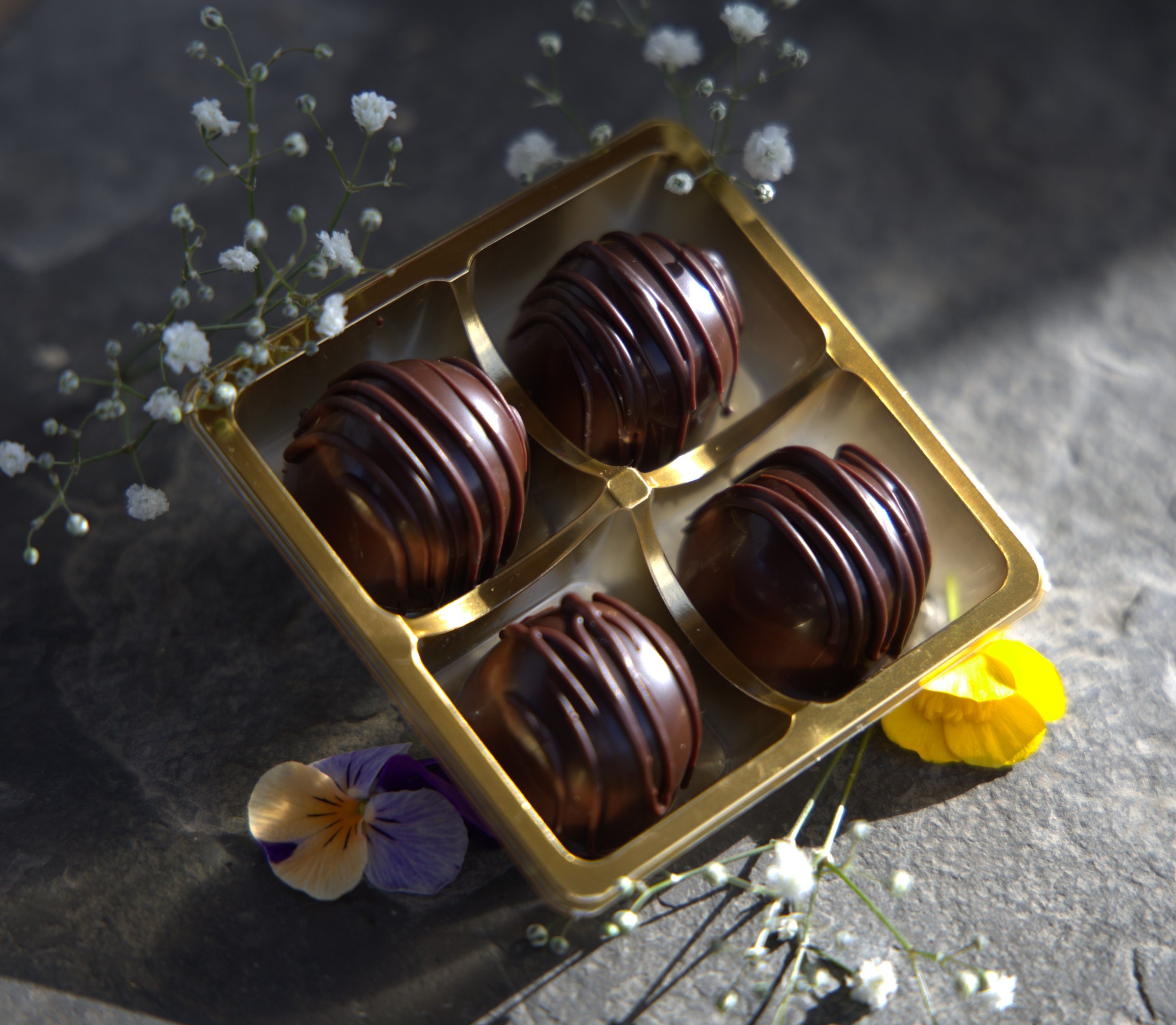 Smooth Dark Chocolate Bonbon