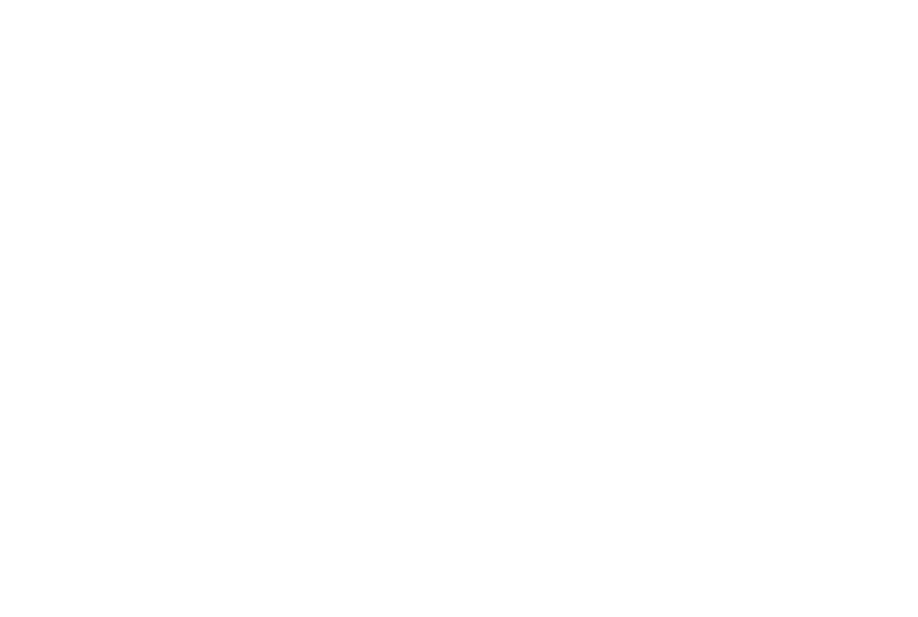 The Property Manager
