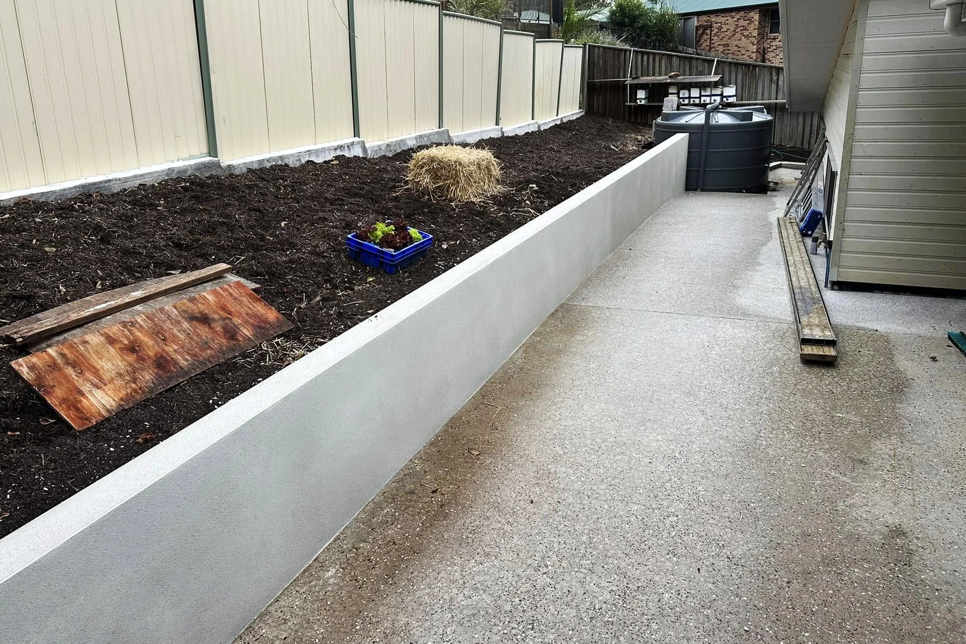 A backyard garden with a newly prepared flower bed, a small hay bale, a blue planter with green plants, a concrete walkway, and a rainwater collection system with barrels. Fencing surrounds the yard.