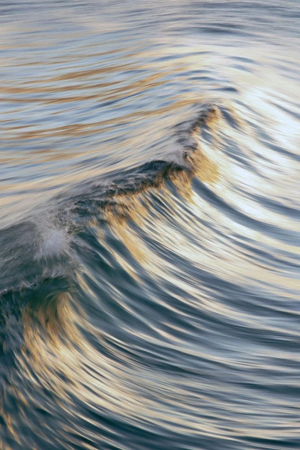 Close-up of a gently rolling ocean wave with soft golden reflections on the water, symbolizing change, resilience, and growth often explored in personal growth seminars and mental health and emotional wellbeing programs.