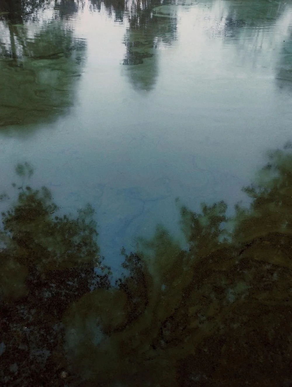 Blurred reflection of trees and sky on a calm water surface, evoking introspection, healing, and the quiet focus cultivated through awareness sessions and counseling sessions.