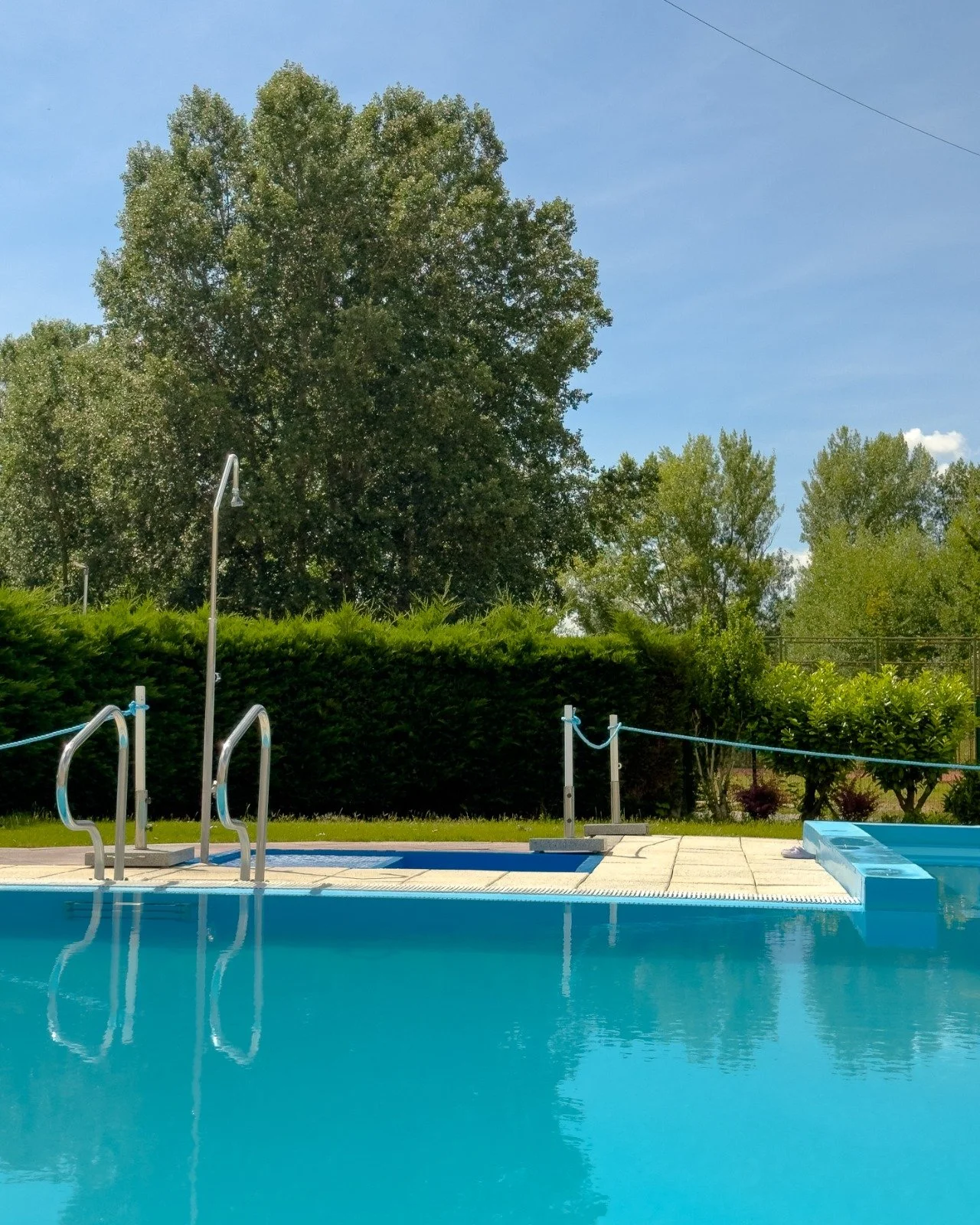 An outdoor swimming pool with metal handrails, surrounded by a concrete deck, green bushes, and tall trees under a clear blue sky.