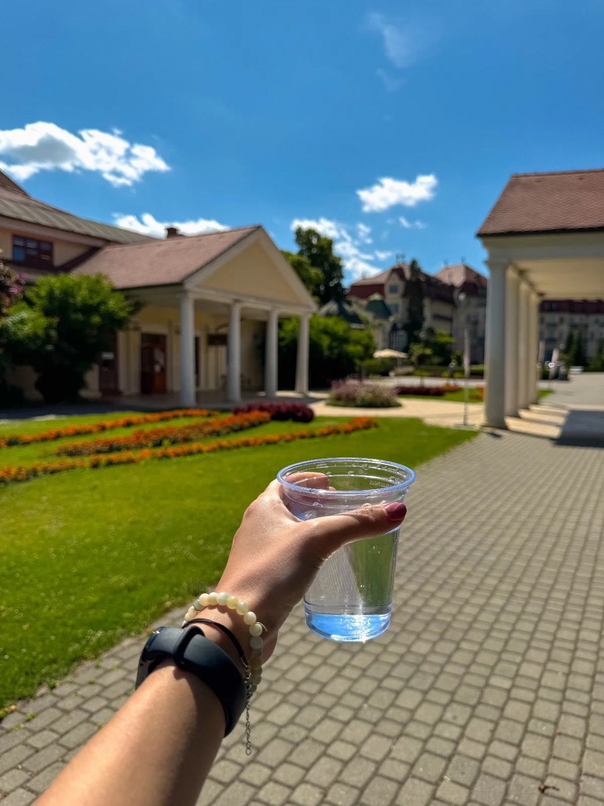 A person holding a clear plastic cup of water in front of a park with blooming flowers, and buildings with columns under a blue sky.