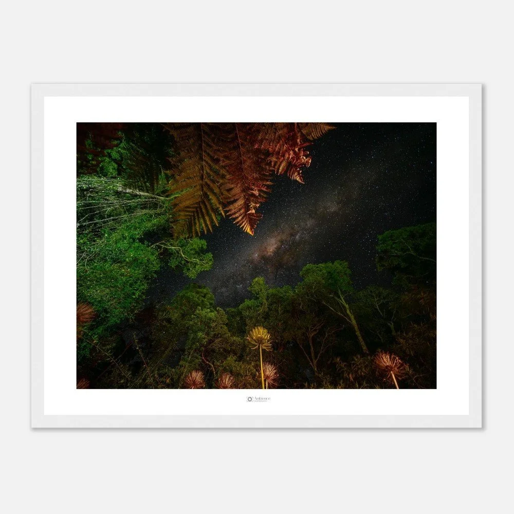 Under the stars - Bunya Mountains, QLD