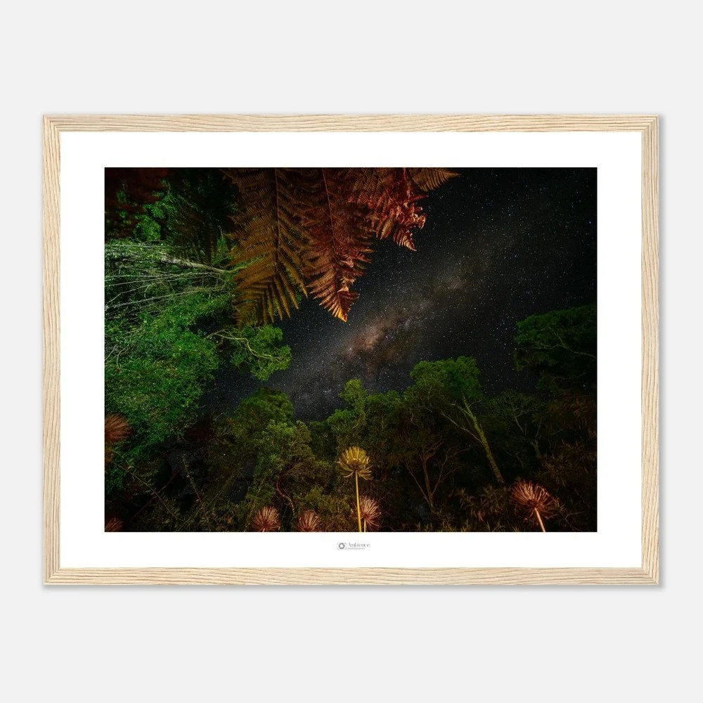 Under the stars - Bunya Mountains, QLD