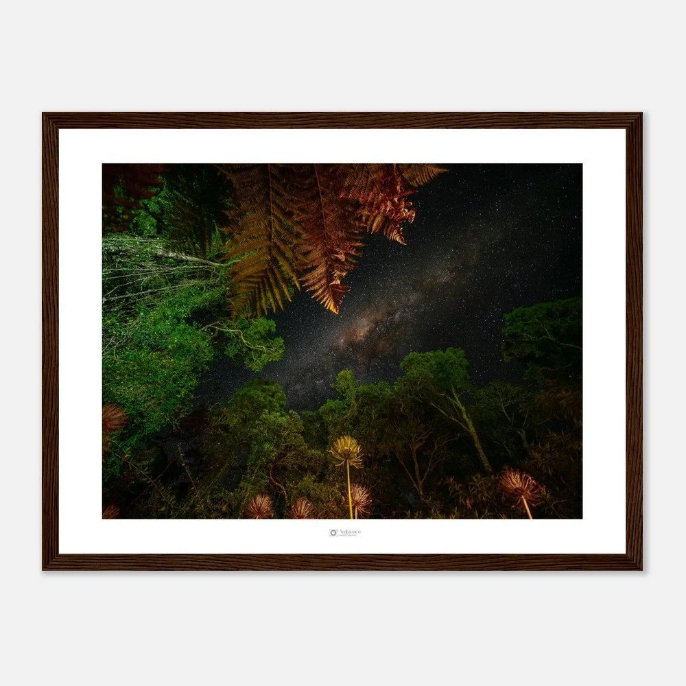 Under the stars - Bunya Mountains, QLD