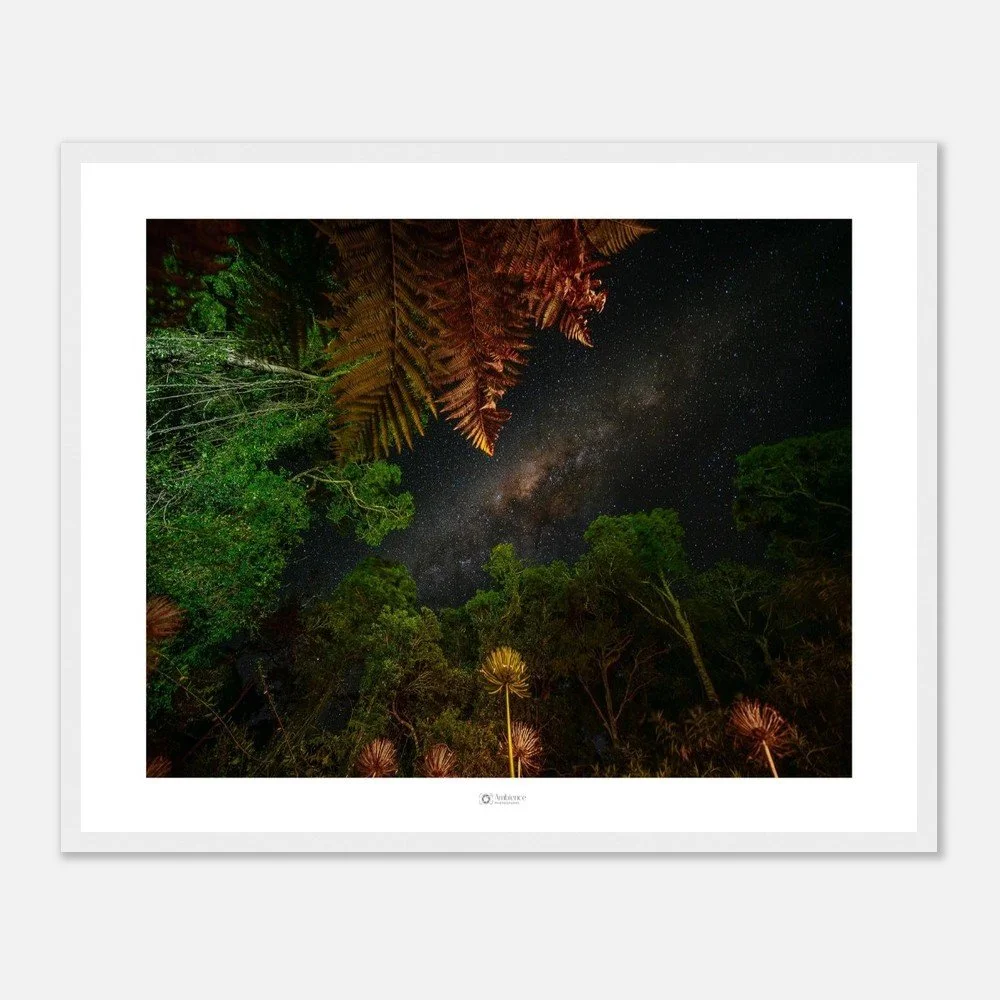 Under the stars - Bunya Mountains, QLD