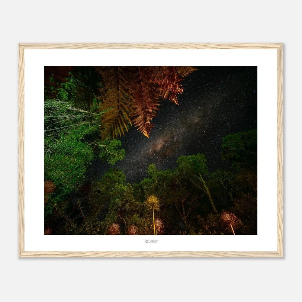 Under the stars - Bunya Mountains, QLD