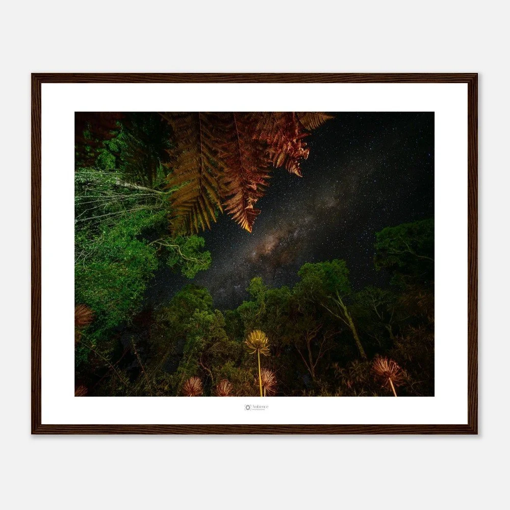 Under the stars - Bunya Mountains, QLD