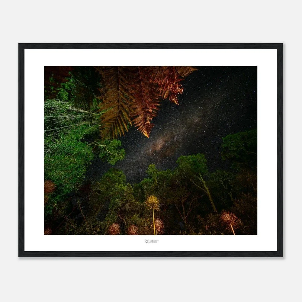 Under the stars - Bunya Mountains, QLD