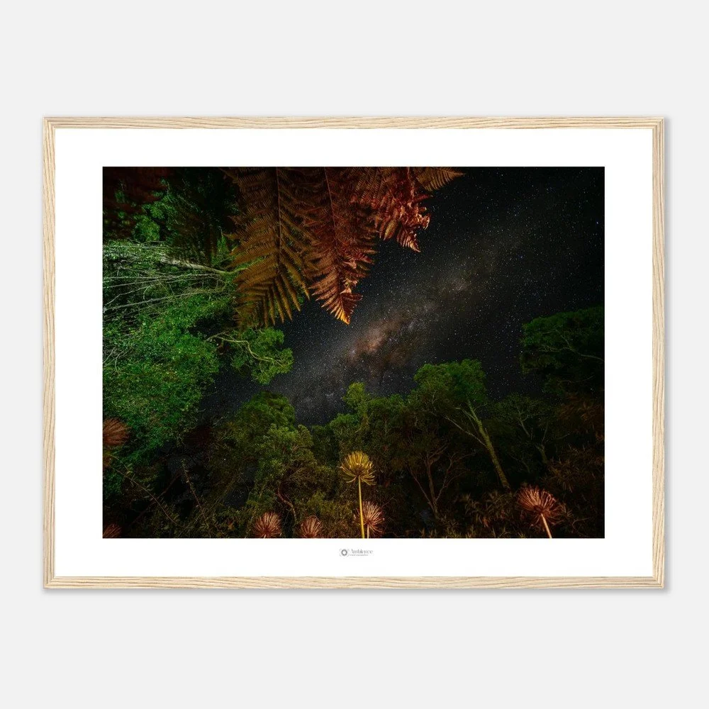 Under the stars - Bunya Mountains, QLD