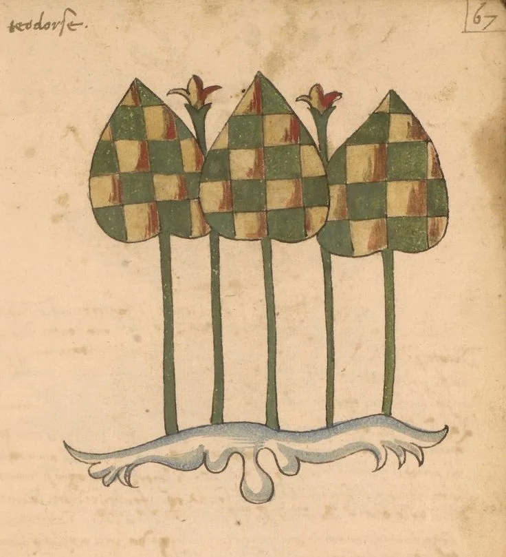 Sea Holdfast