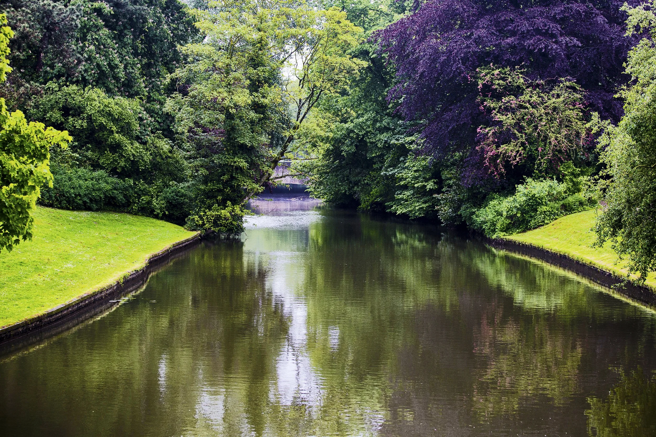 beautiful-shot-canal-with-trees-reflected-water.jpg