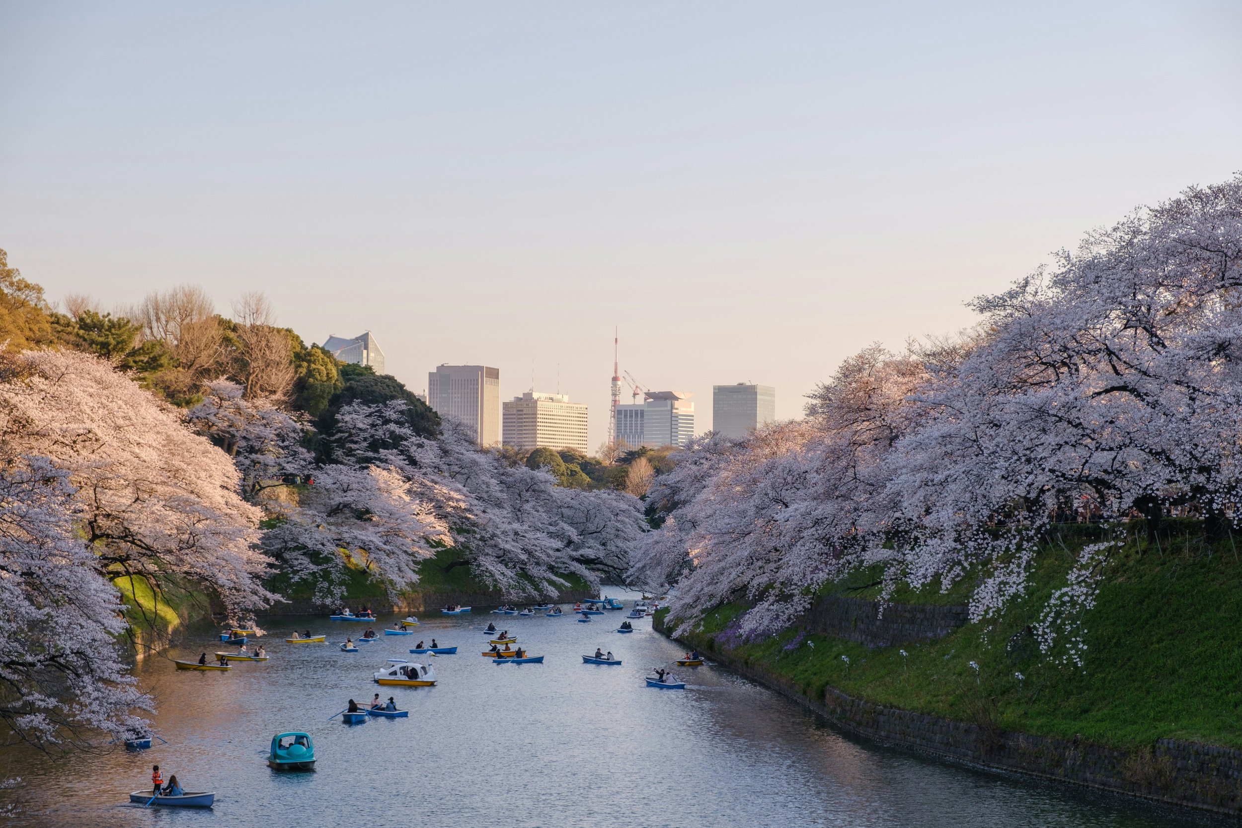 yu-kato-I71UerLsN-k-unsplash (1).jpg