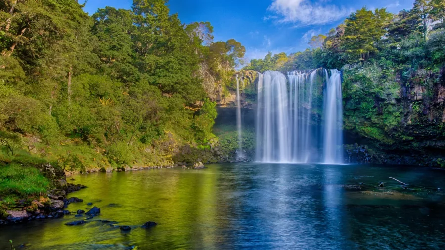 rainbow-falls-waianiwaniwa-kerikeri.webp